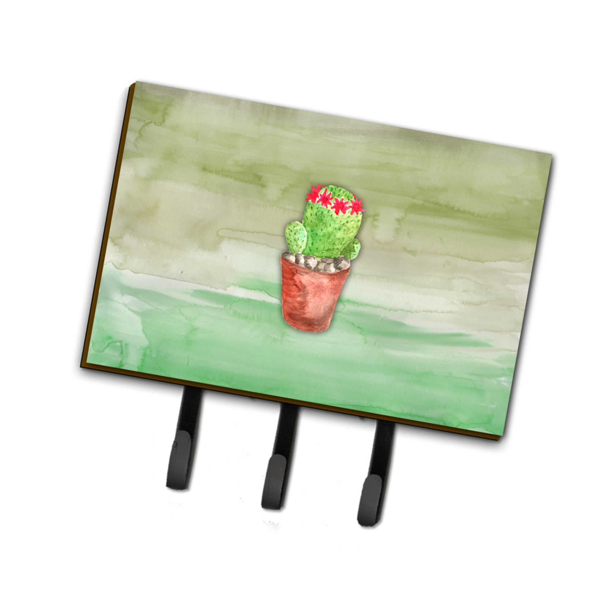 Caroline'S Treasures Cactus Green Watercolor Wall Hook, Triple, Multicolor