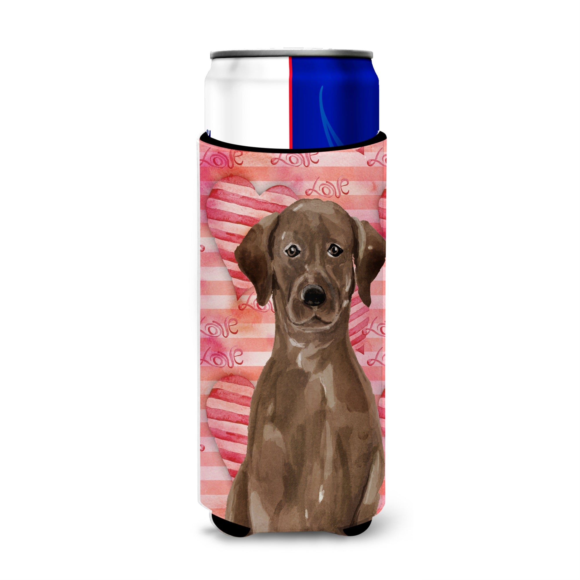 Caroline'S Treasures Chocolate Labrador Love Decorative Can Hugger, Slim, Multicolor