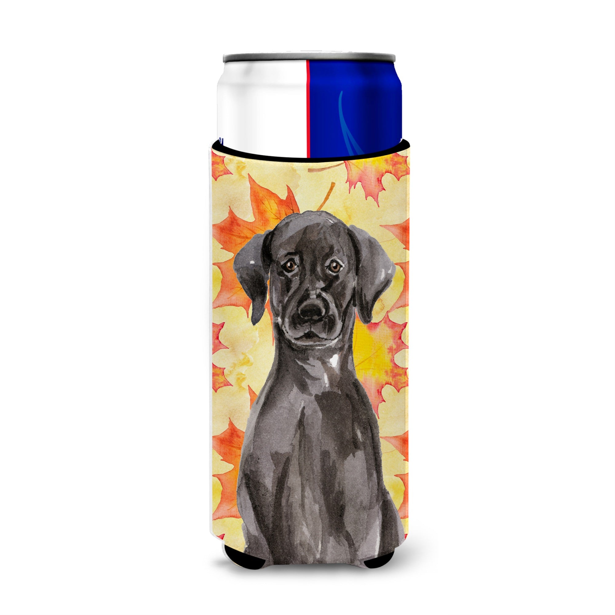 Caroline'S Treasures Black Labrador Fall Decorative Can Hugger, Slim, Multicolor