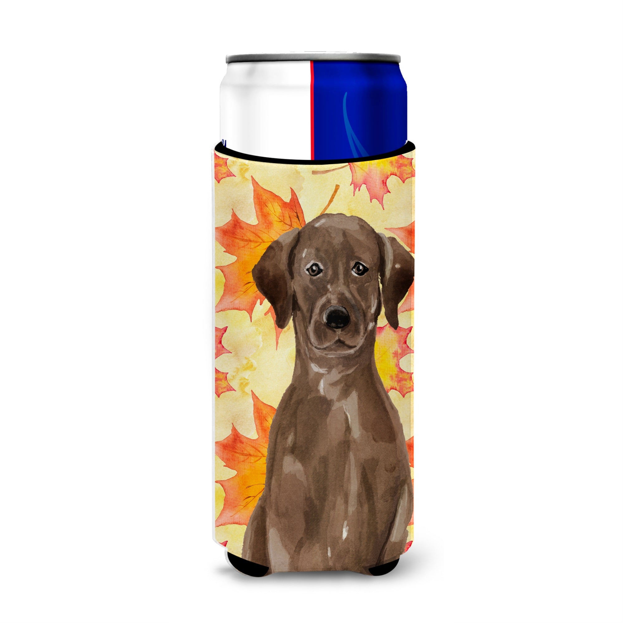 Caroline'S Treasures Chocolate Labrador Fall Decorative Can Hugger, Slim, Multicolor