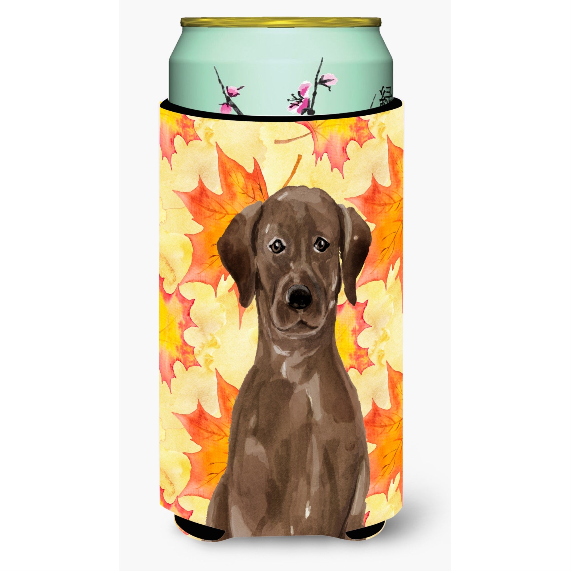 Caroline'S Treasures Chocolate Labrador Fall Decorative Can Hugger, Tall, Multicolor