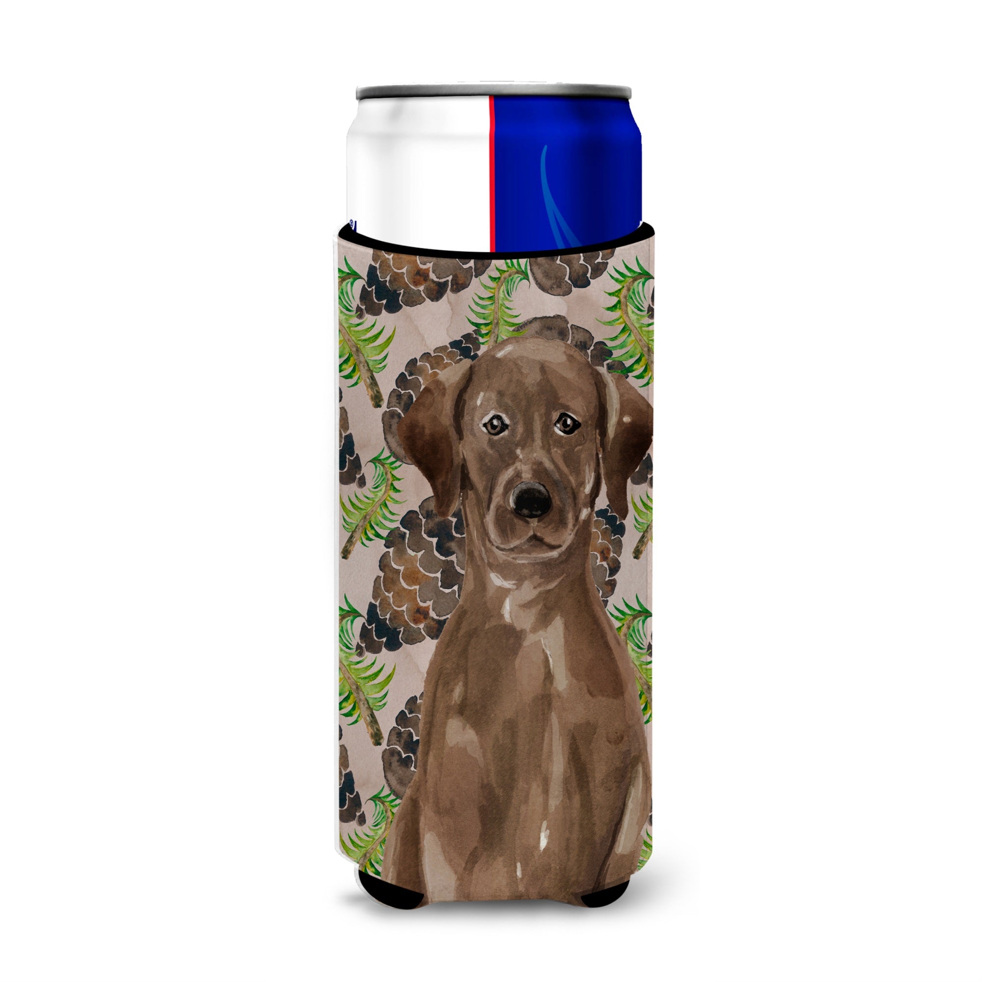 Caroline'S Treasures Chocolate Labrador Pine Cones Decorative Can Hugger, Slim, Multicolor