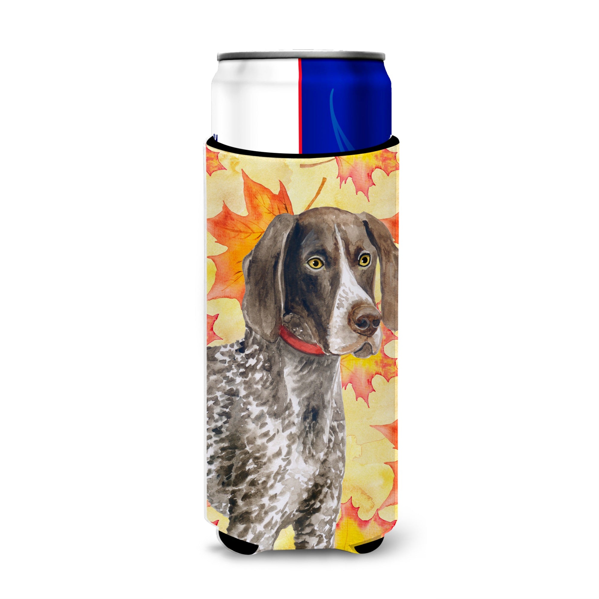 Caroline'S Treasures German Shorthaired Pointer Fall Decorative Can Hugger, Slim, Multicolor