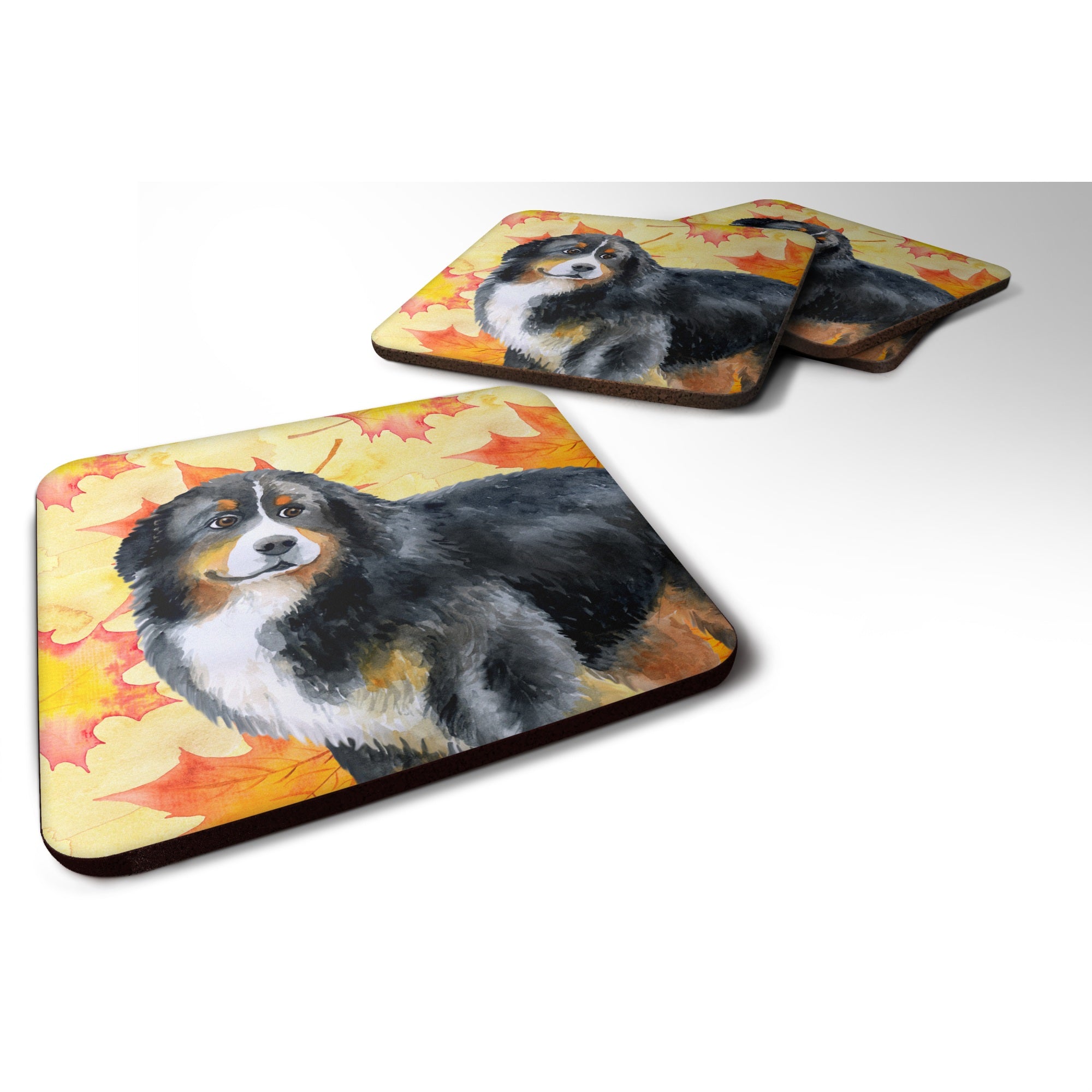 Caroline'S Treasures Bernese Mountain Dog Fall Decorative Coasters, Multicolor