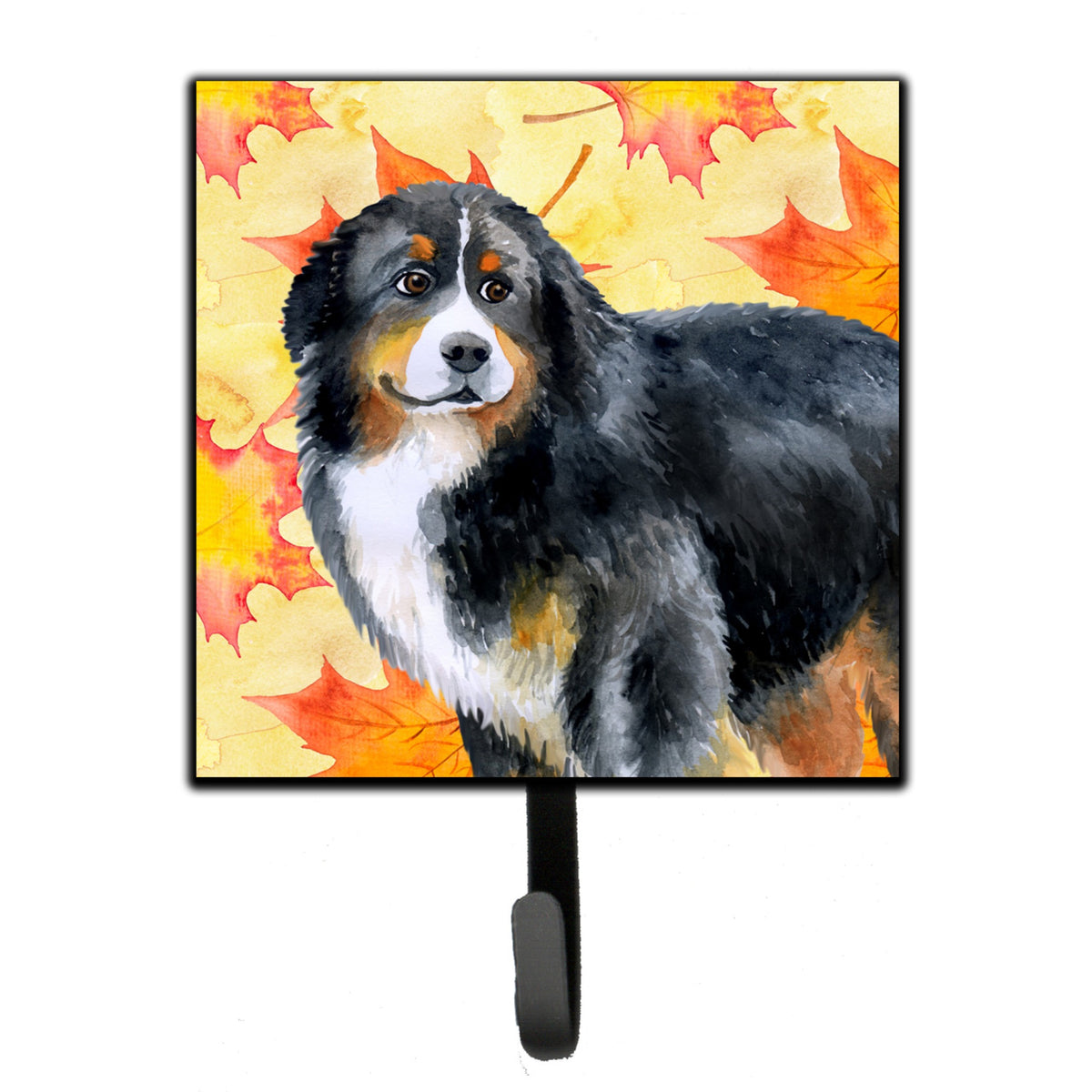 Caroline'S Treasures Bernese Mountain Dog Fall Wall Hook, Small, Multicolor