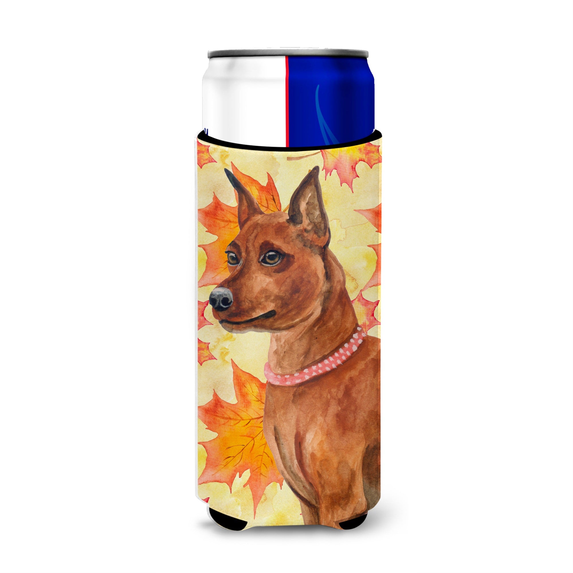 Caroline'S Treasures Miniature Pinscher Fall Decorative Can Hugger, Slim, Multicolor