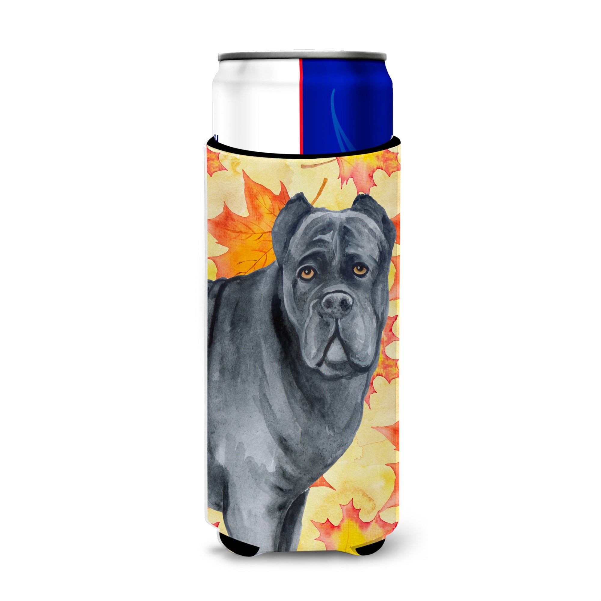 Caroline'S Treasures Cane Corso Fall Decorative Can Hugger, Slim, Multicolor