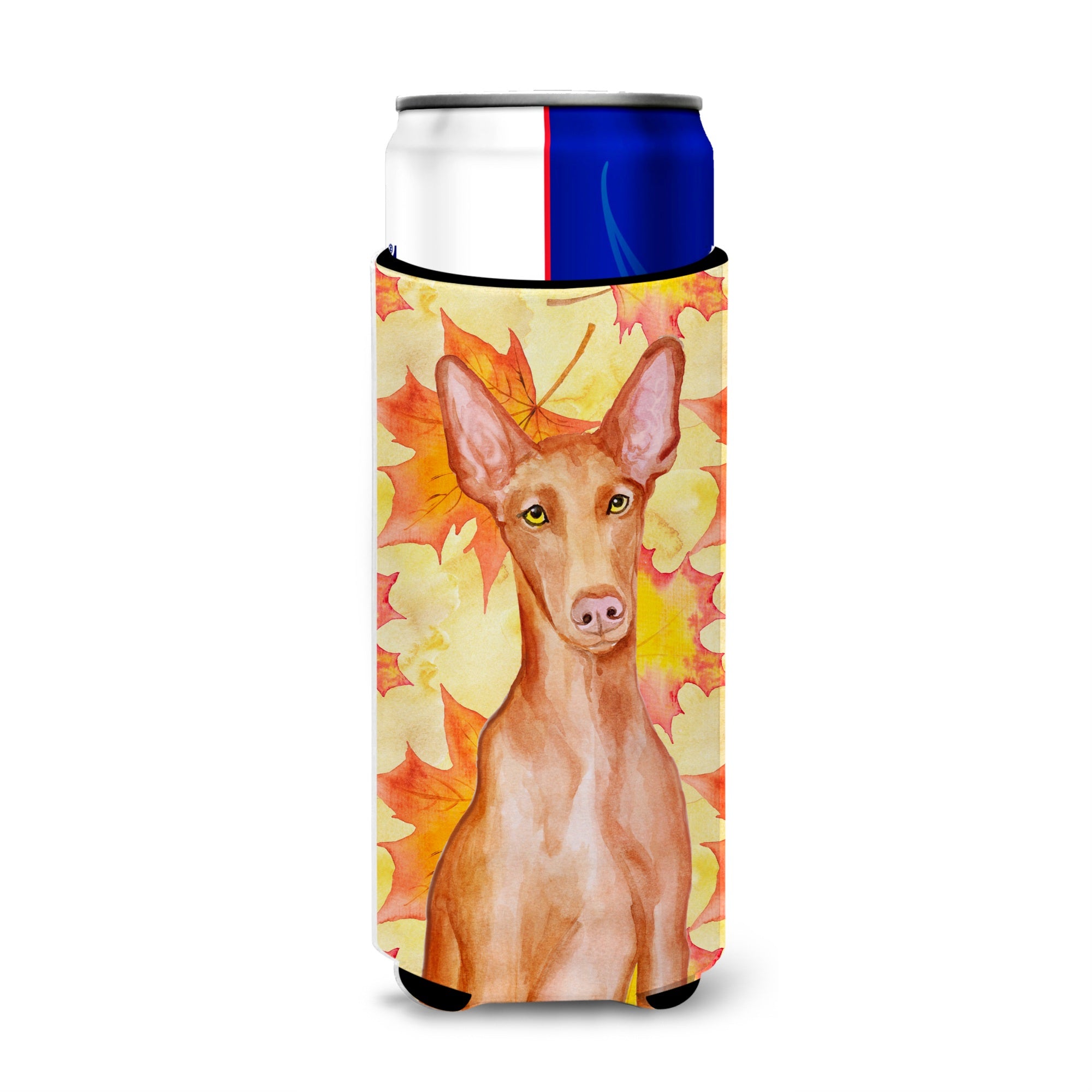 Caroline'S Treasures Pharaoh Hound Fall Decorative Can Hugger, Slim, Multicolor