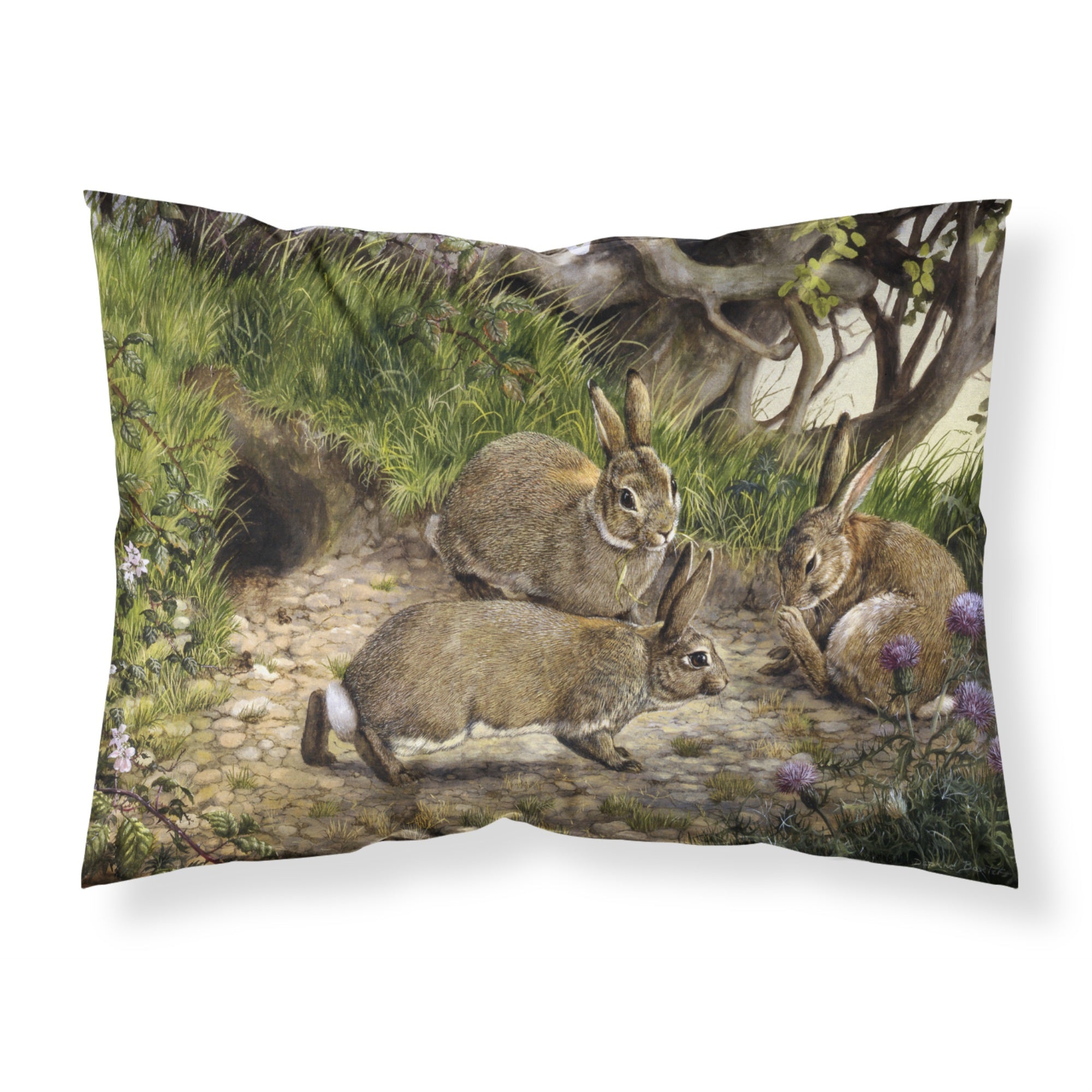 Caroline'S Treasures Rabbit Hole Fabric Standard Pillowcase Bdba0136Pillowcase, Multicolor