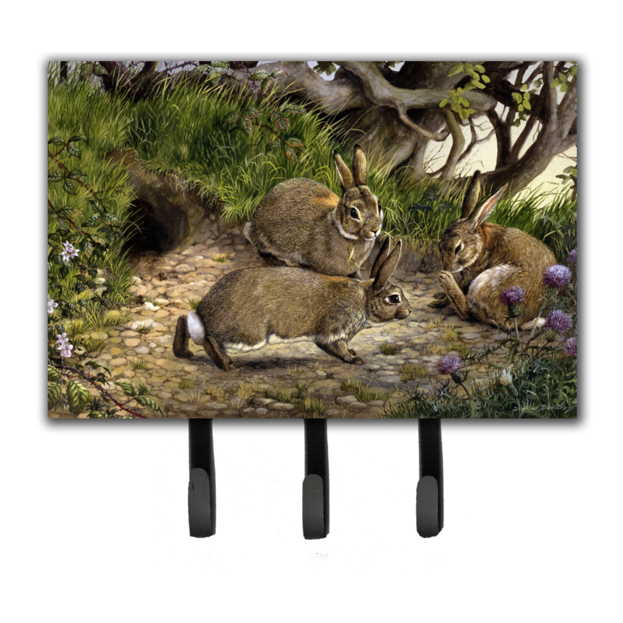 Caroline'S Treasures Rabbit Hole Leash Or Key Holder Bdba0136Th68, Triple, Multicolor