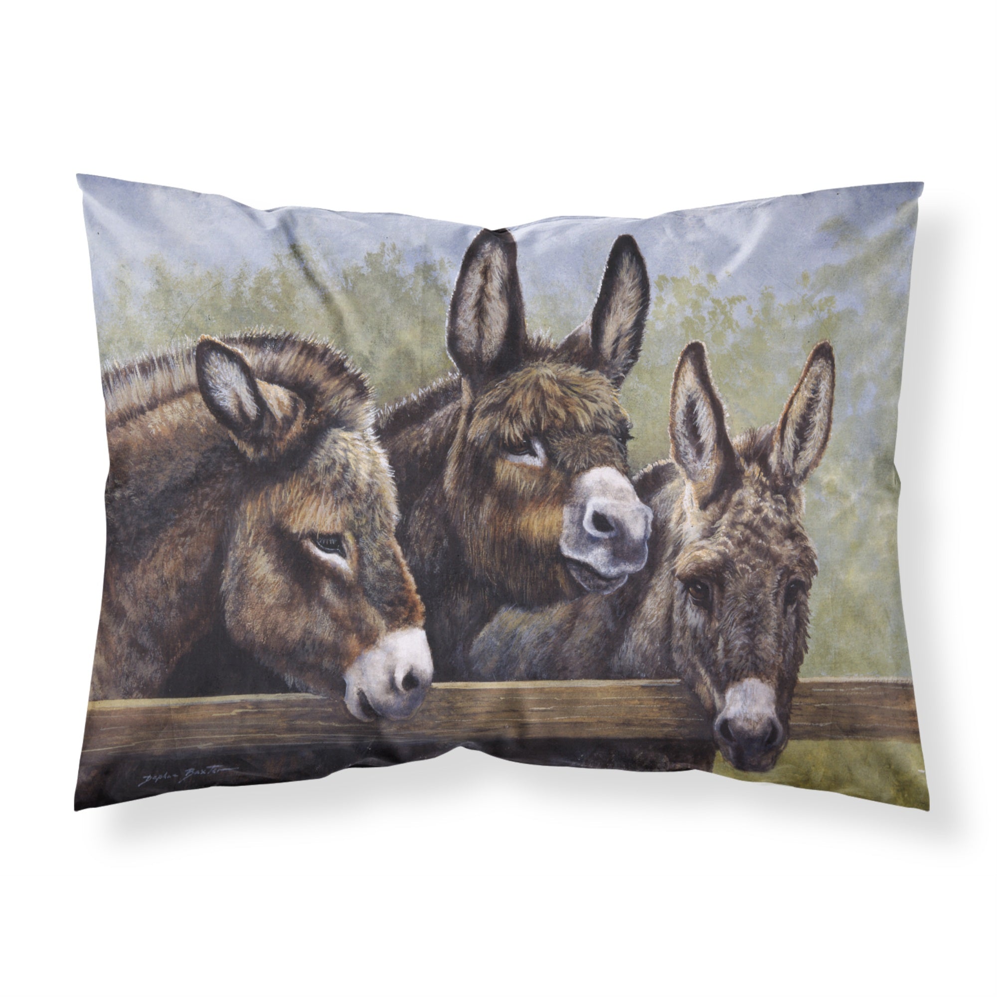 Caroline'S Treasures Donkeys By Daphne Baxter Fabric Standard Pillowcase Bdba0235Pillowcase, Multicolor
