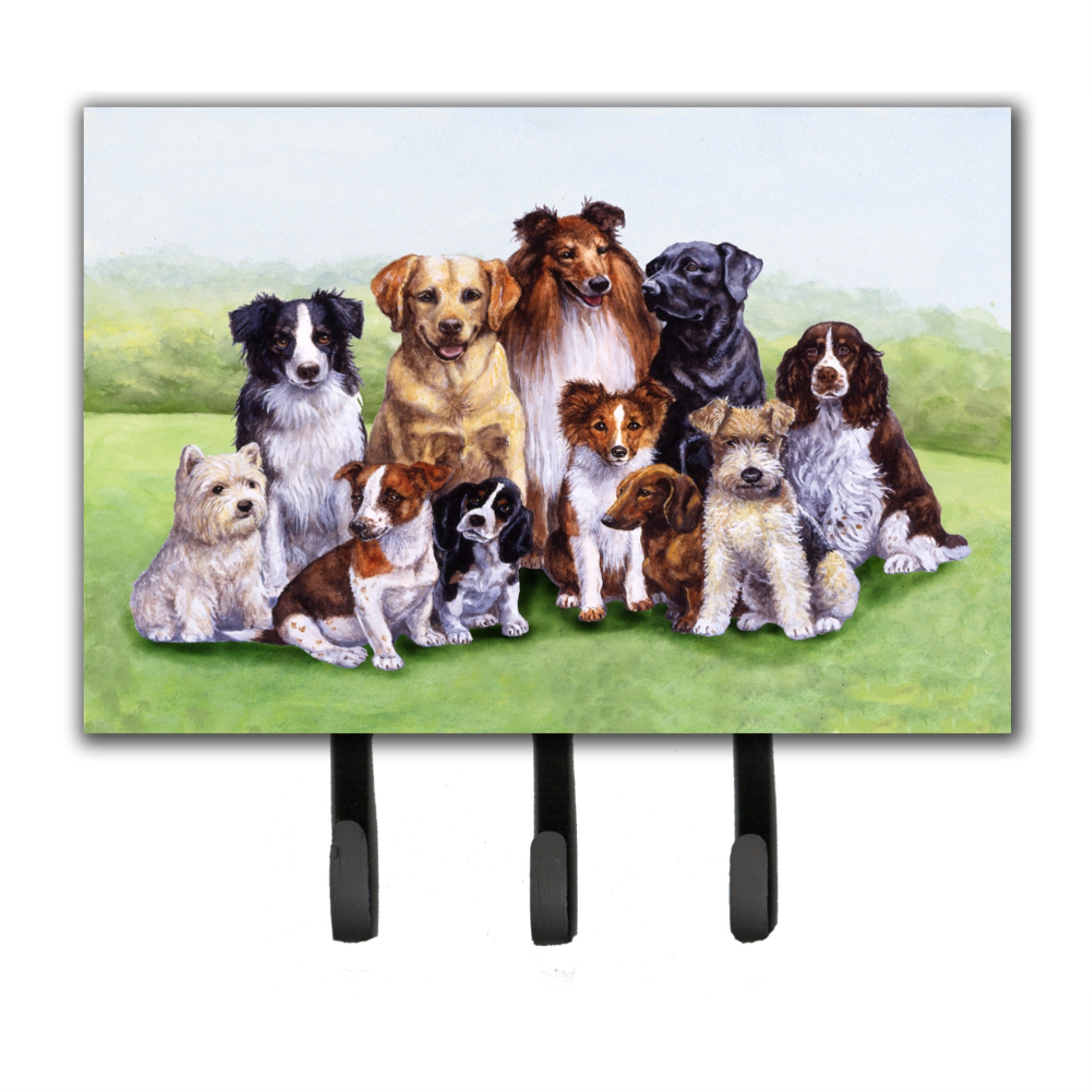 Caroline'S Treasures Bdba316Bth68 Springtime Dogs Leash Or Key Holder, Large, Multicolor