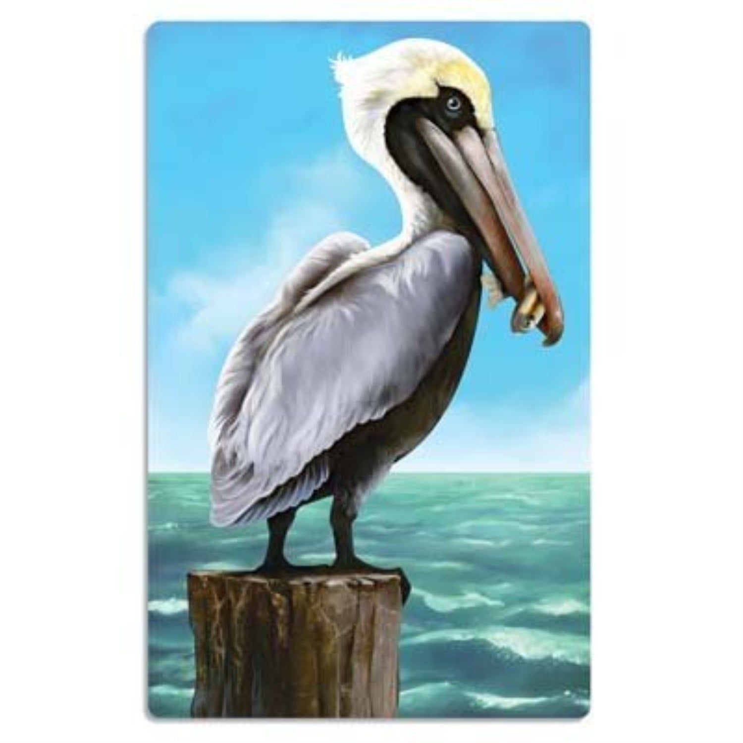 Pelican Cutout (Pack Of 24)