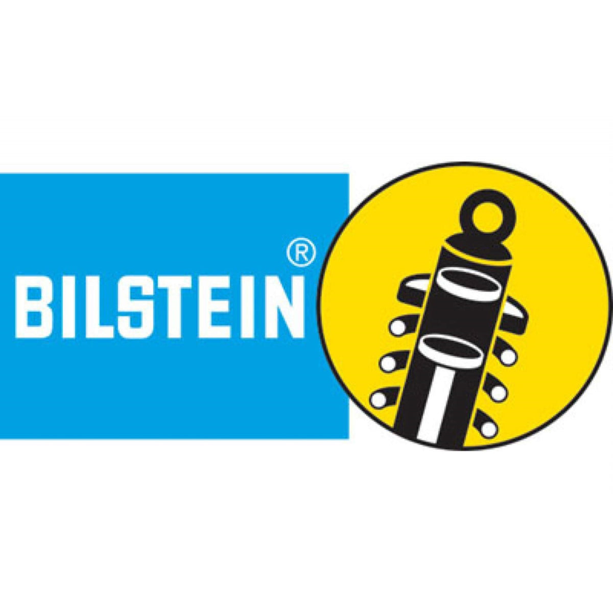 Bilstein B6 99-04/06-13 Ford F53 Steering Damper (24-245975)