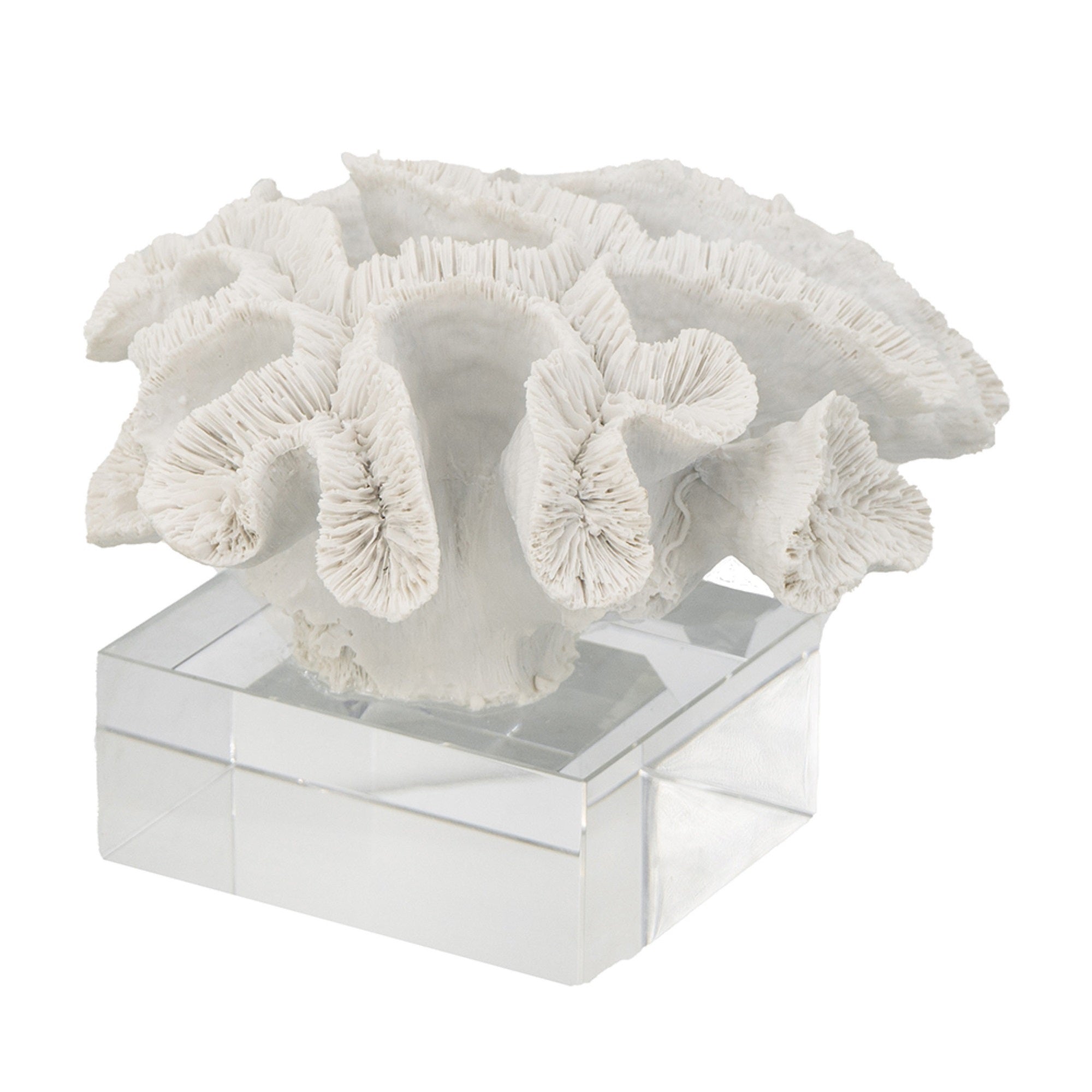 Davy Rising Faux Coral Accent, Clear Glass, Luxe White Polyresin 9 Inch