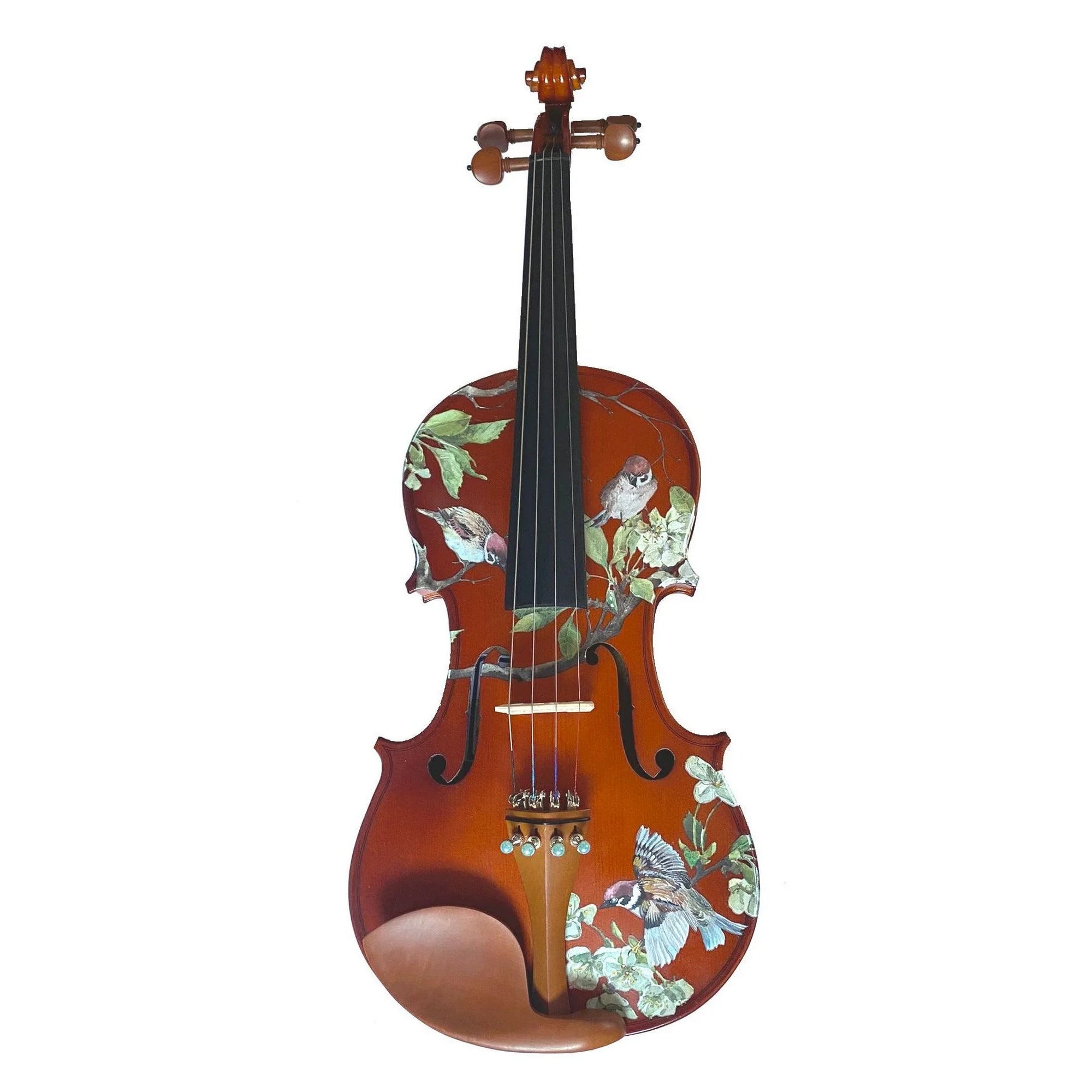 Rozannas Bird Song Violin Outfit, 1/4