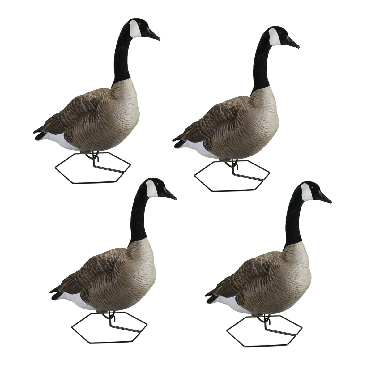 Beavertail Doa Decoys Dominator Series Full Body Sentry Goose, 4-Pack