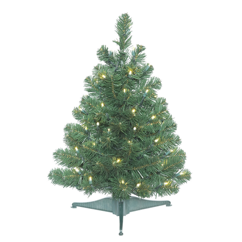 Vickerman 26″ x 19″ Oregon Fir WA 50LED WmWht - C164027LED