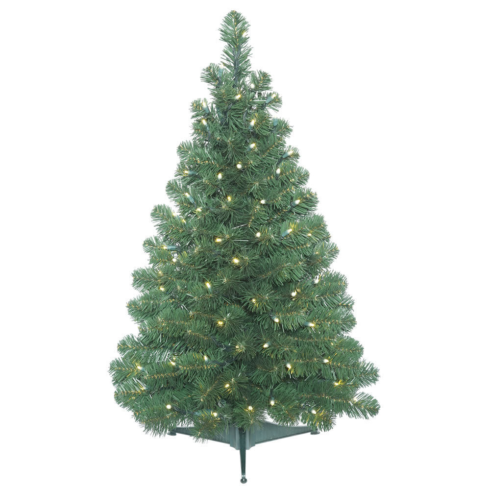 Vickerman 3' x 24″ Oregon Fir WA 100LED WmWht - C164036LED