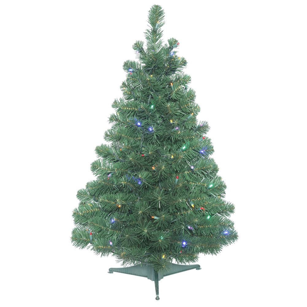 Vickerman 3' x 24″ Oregon Fir WA 100LED Multi - C164037LED