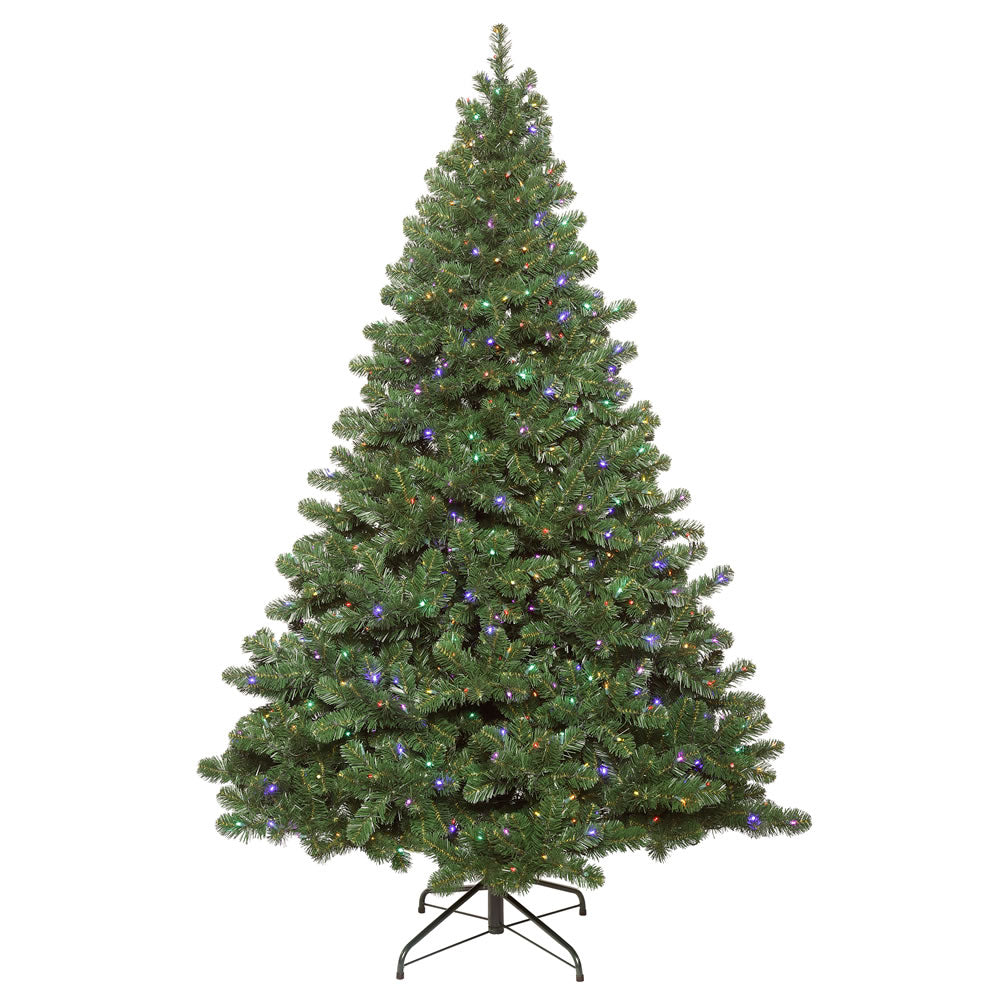 Vickerman 8.5' x 72” Oregon Fir WA 1150LED Multi - C164182LED