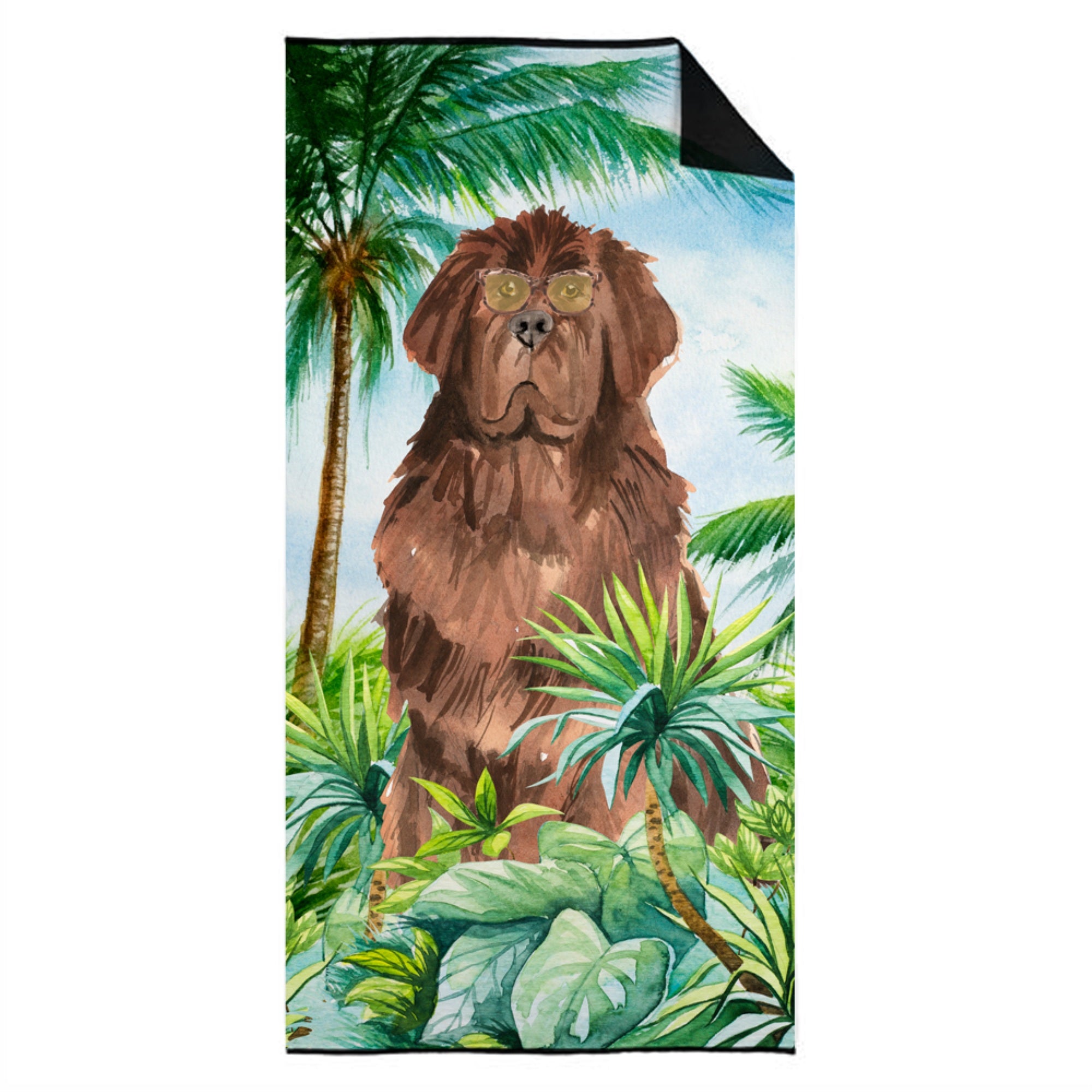 Caroline'S Treasures Ck3005Twl3060 Newfoundland Premium Beach-Towels, Multicolor