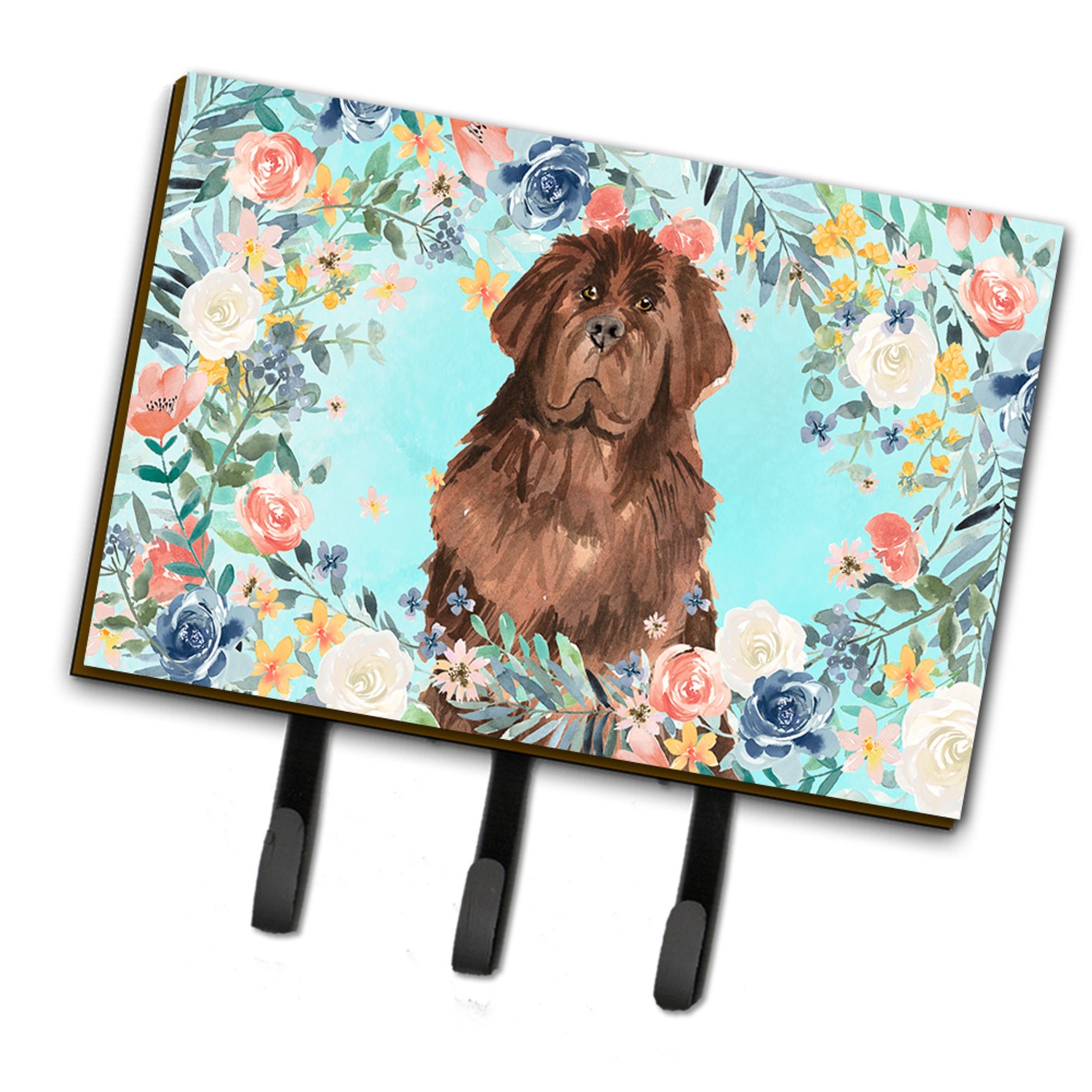 Caroline'S Treasures Newfoundland Leash Or Key Holder Hooks, Multicolor