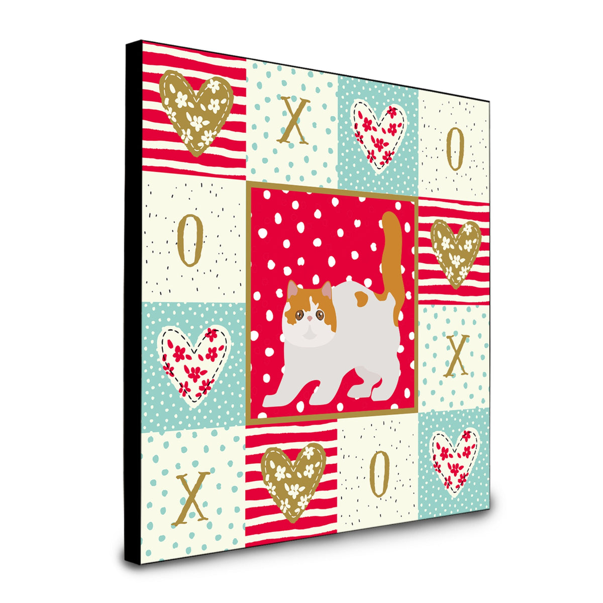 Exotic Shorthair #4 Cat Love Artwork Wall Panel Ck5617Up88