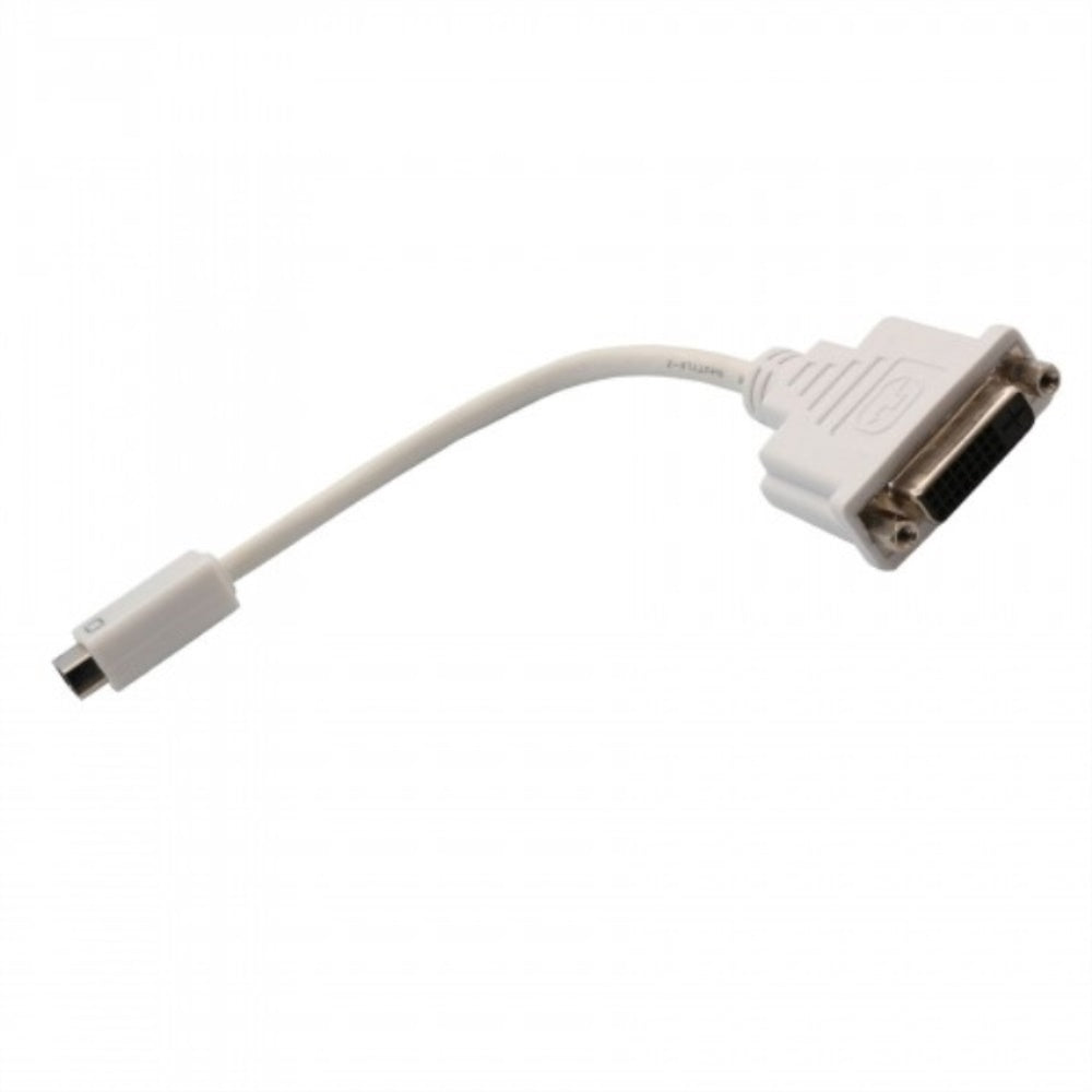 Mini DVI to DVI (24+5 pin) Adapter, White Color, 8??end-to-end