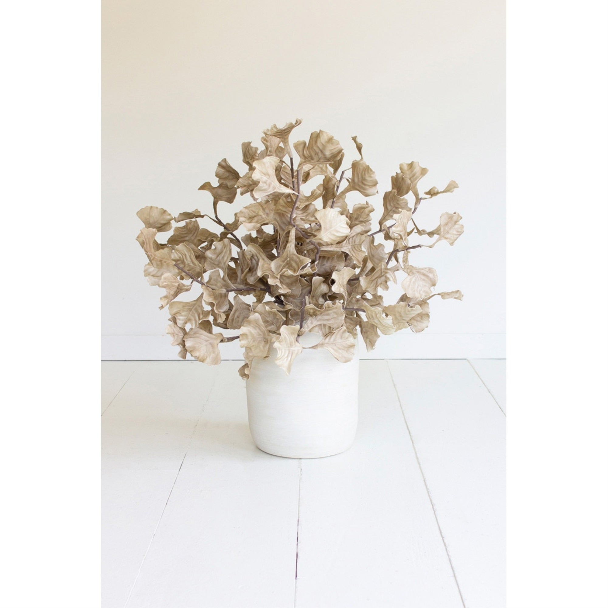 Botanica #3558