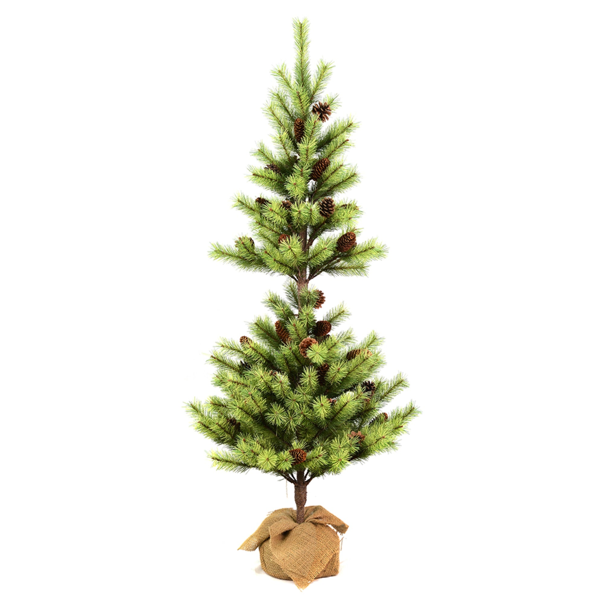 4' Austrian Pine Tree Burlap Base