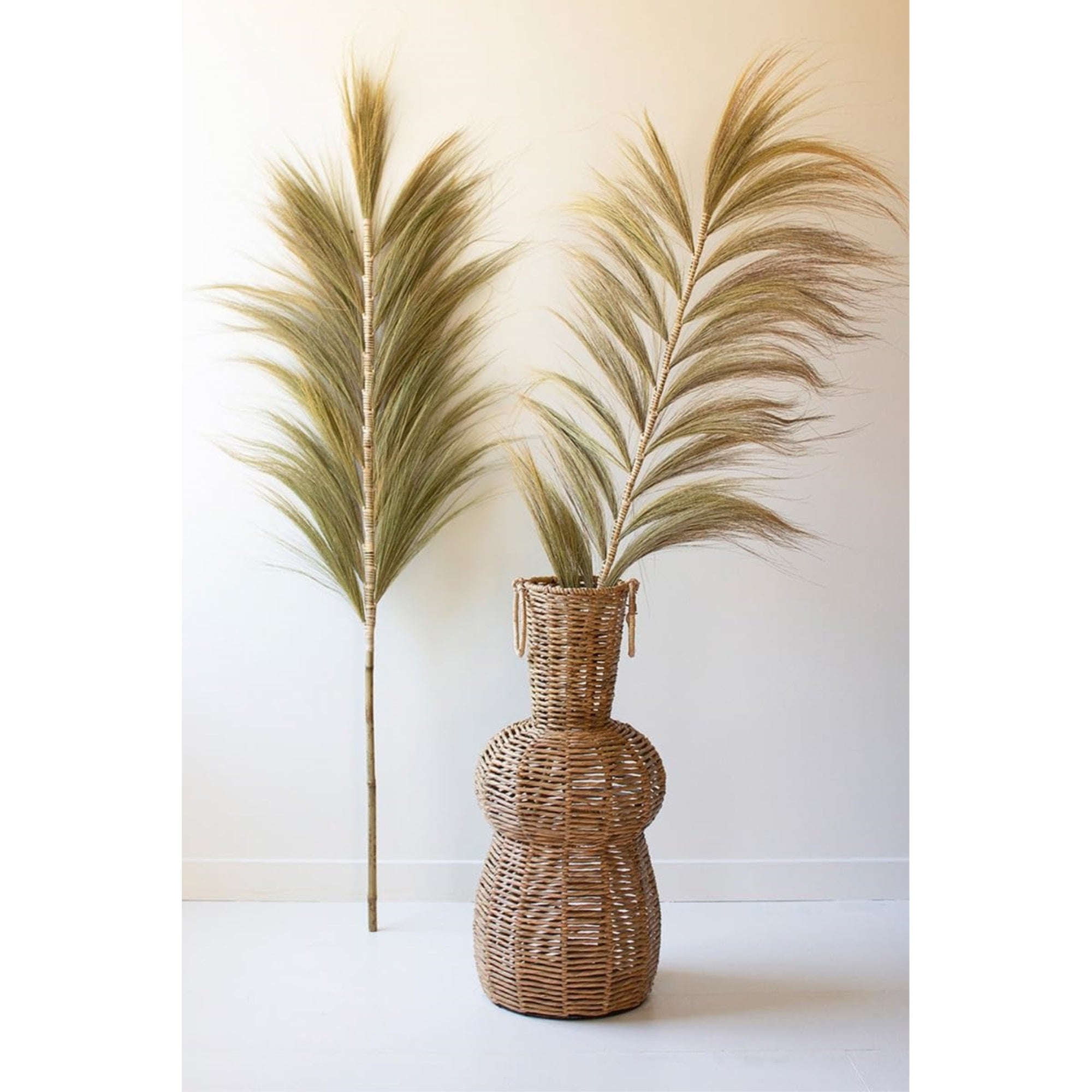 Decorative Fan Palms With Bamboo Stems