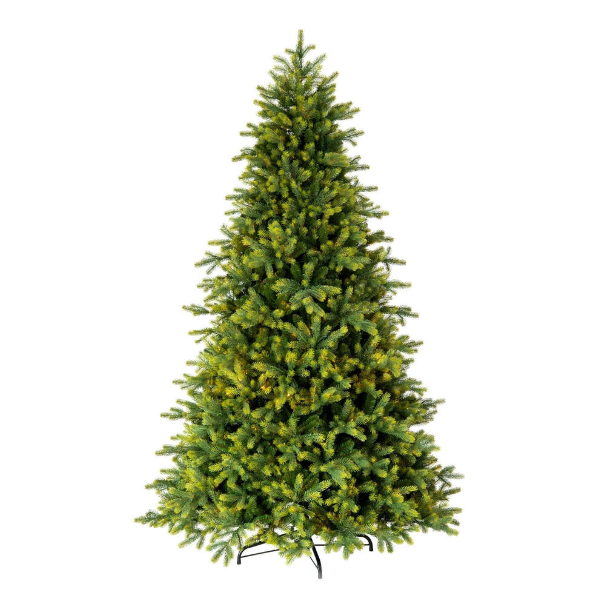 6.5' x 48” Jersey Fraser Fir 3028T