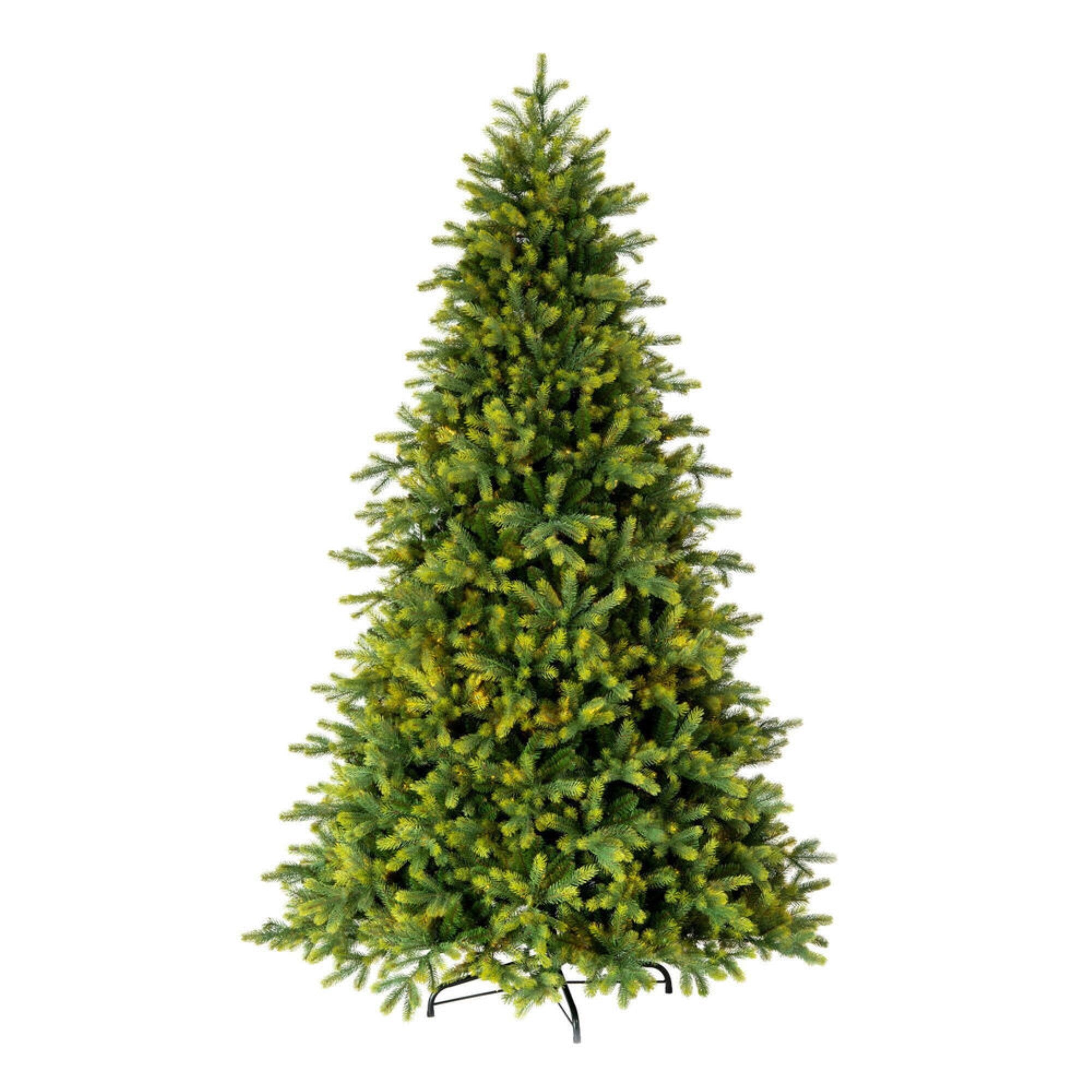 9' x 64” Jersey Fraser Fir 6516T