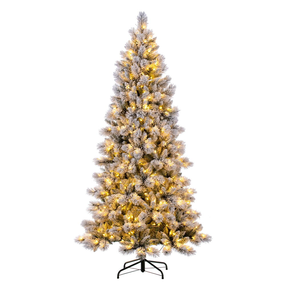 10' x 56” Frosted Scotch Pine 950WW