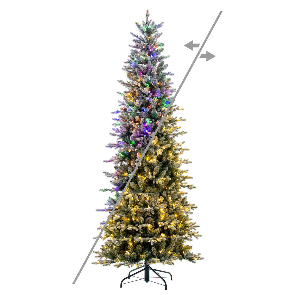 7.5' x 39” Frosted Wistler Spruce 500CC