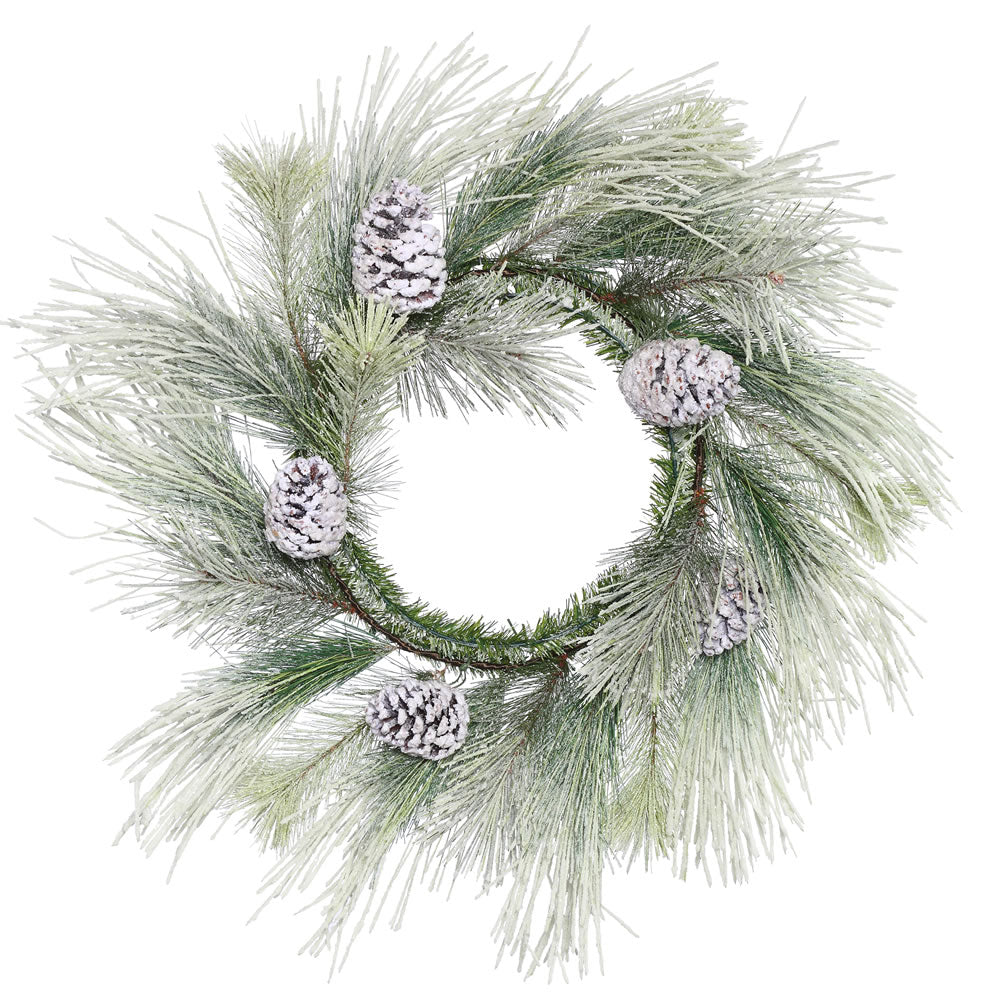 Vickerman 22″ Frosted Norway Pine Wreath 22Tips - E153224