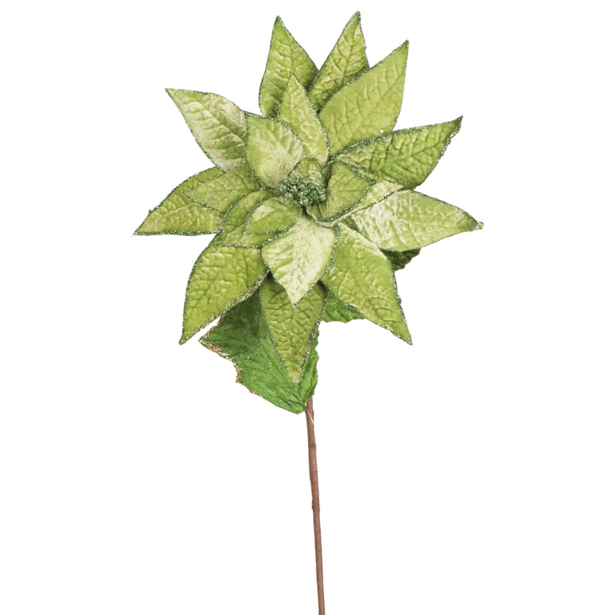 24” Poinsettia Stem Lime Green 3/Bag