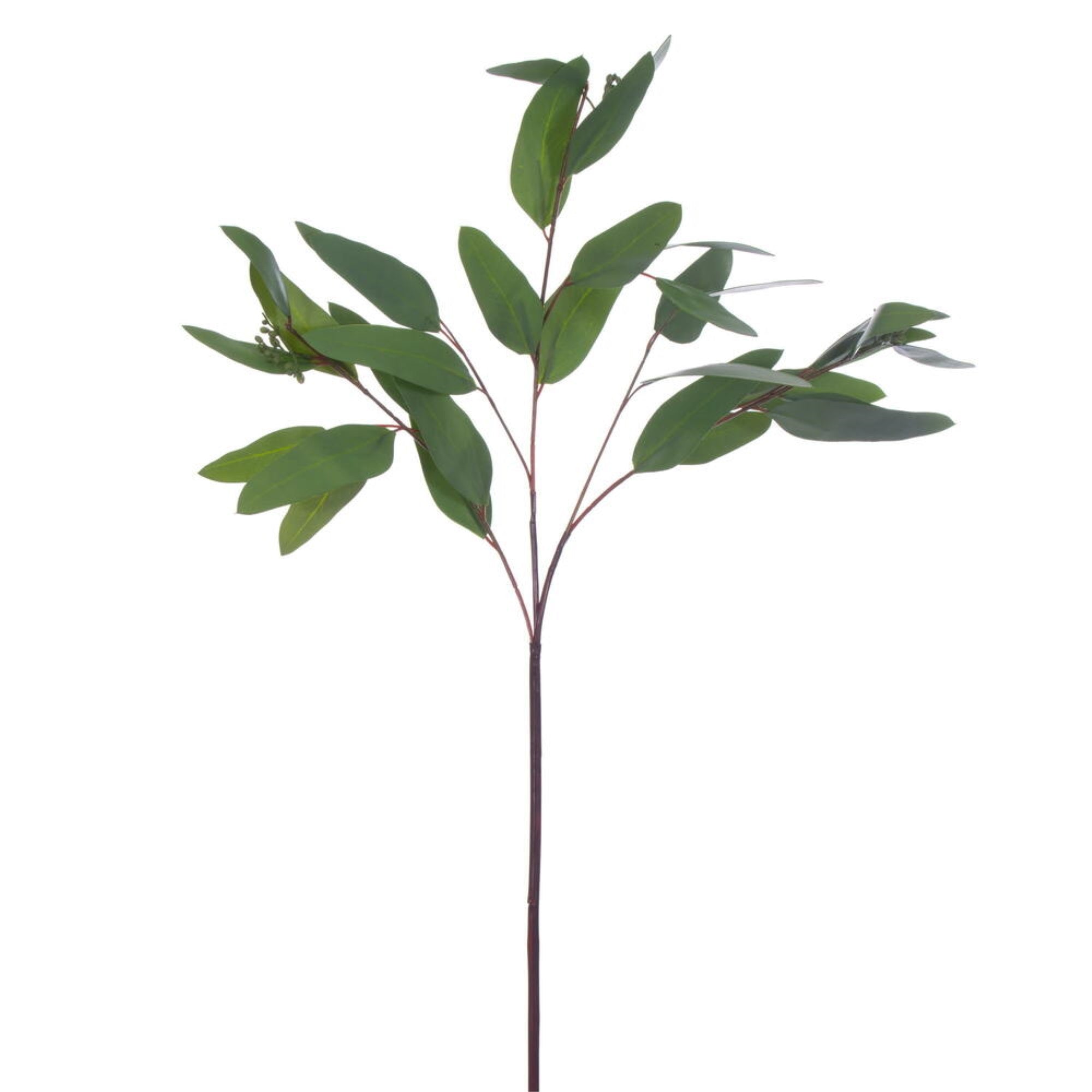 Vickerman 28” Artificial Green Seeded Willow Eucalyptus Spray. 2 Sprays In A Bag.