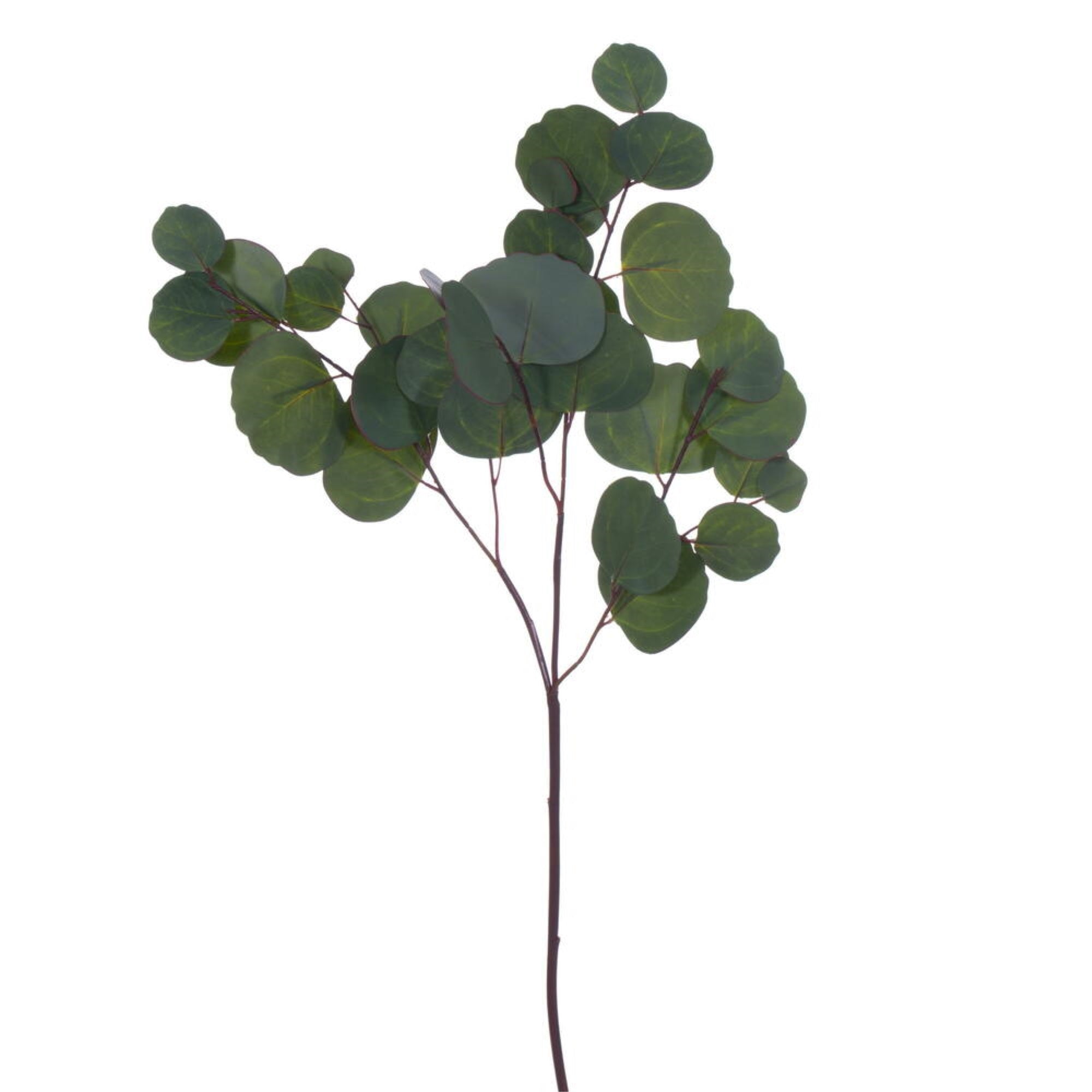 Vickerman 28” Artificial Green Silver Dollar Populus Eucalyptus Spray. 2 Sprays In A Bag.