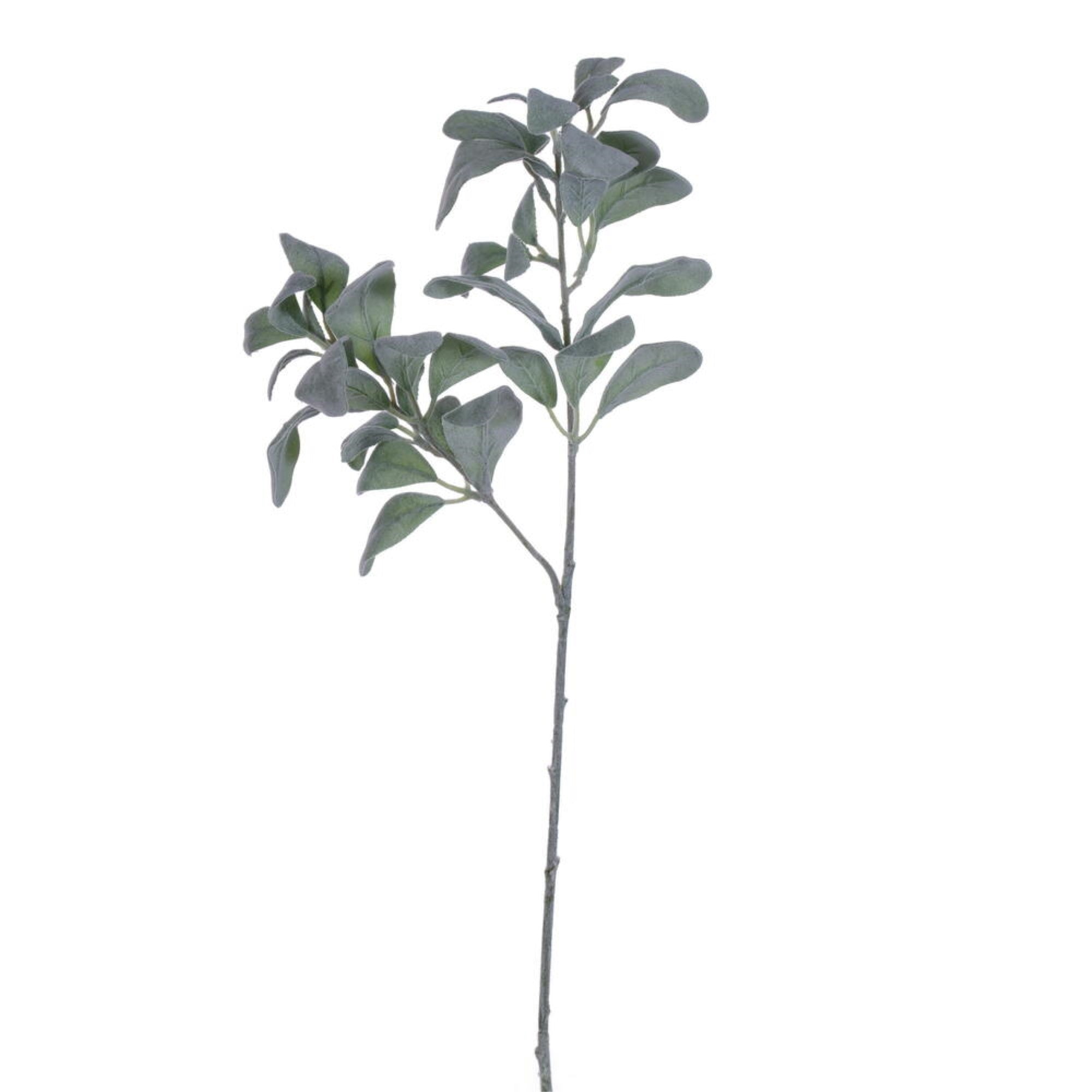 Vickerman 27” Artificial Frosted Green Lambs Ear Spray. 3 Sprays In A Bag.
