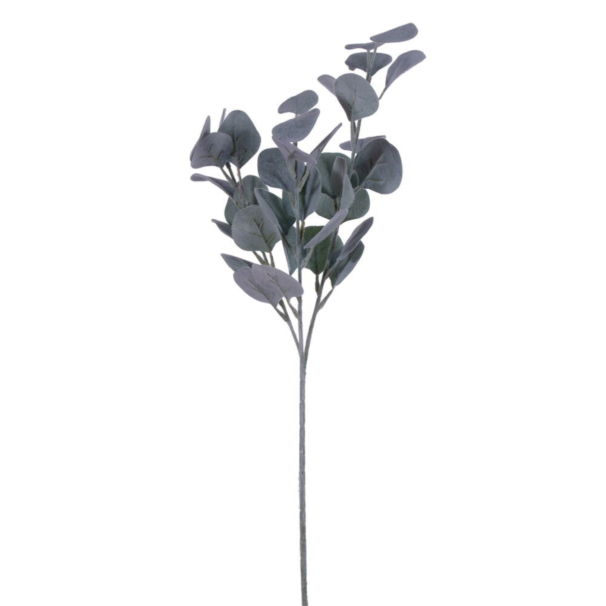 Vickerman 26” Artificial Frosted Green Money Leaf Spray. 3 Sprays In A Bag.