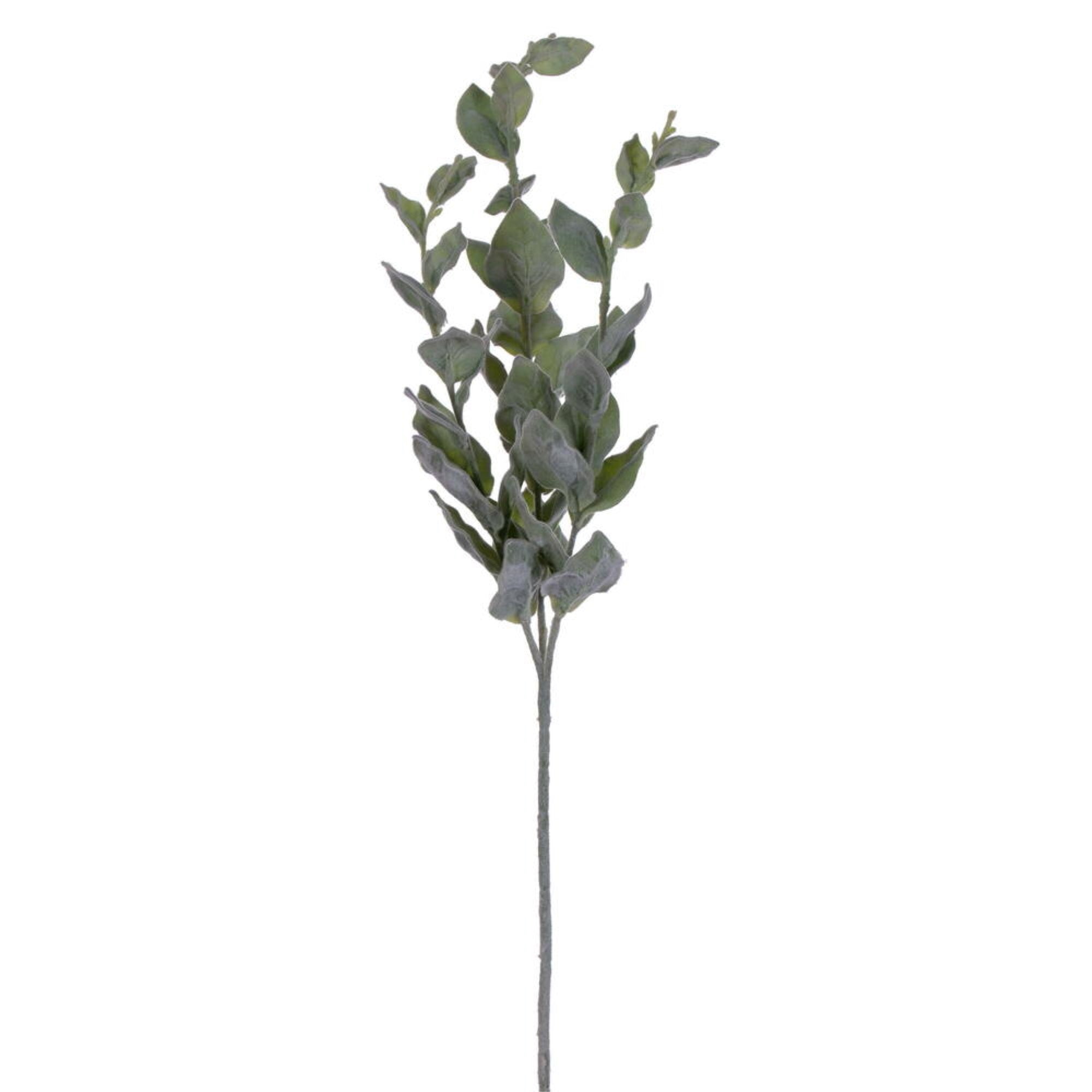 Vickerman 28” Artificial Frosted Green Basil Leaf Spray. 3 Sprays In A Bag.