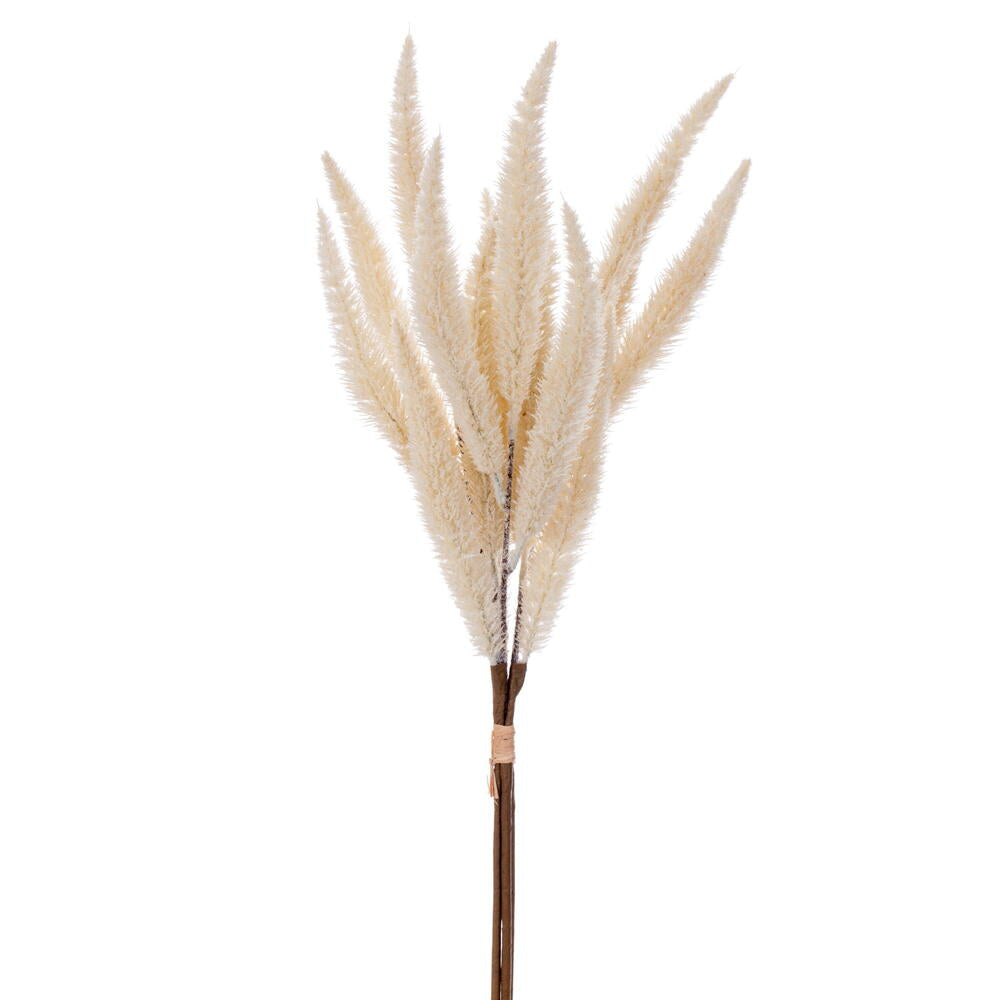24” Cream Foxtail Bundle x3