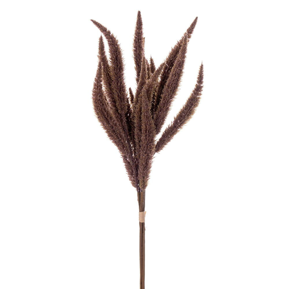 24” Brown Foxtail Bundle x3