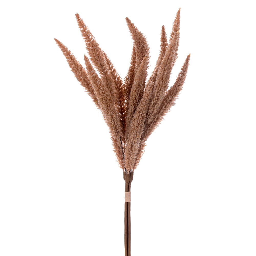 24” Beige Foxtail Bundle x3