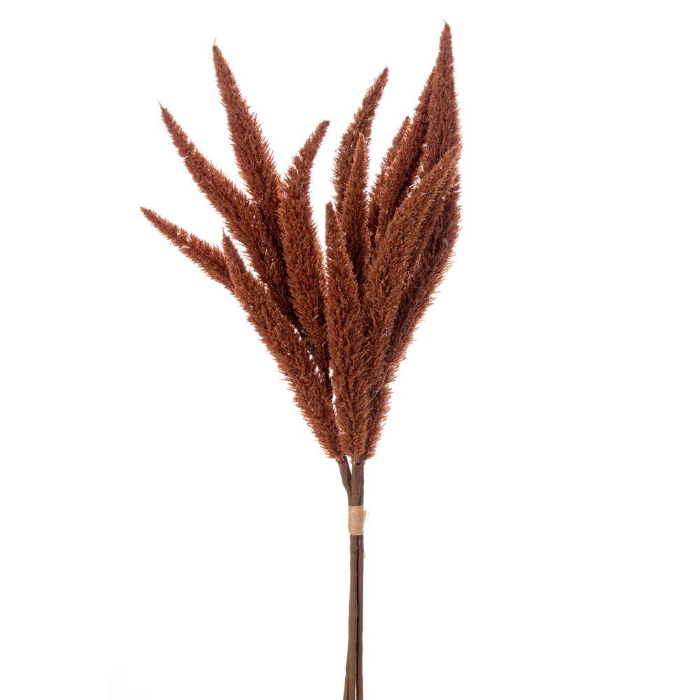 24” Mocha Foxtail Bundle x3