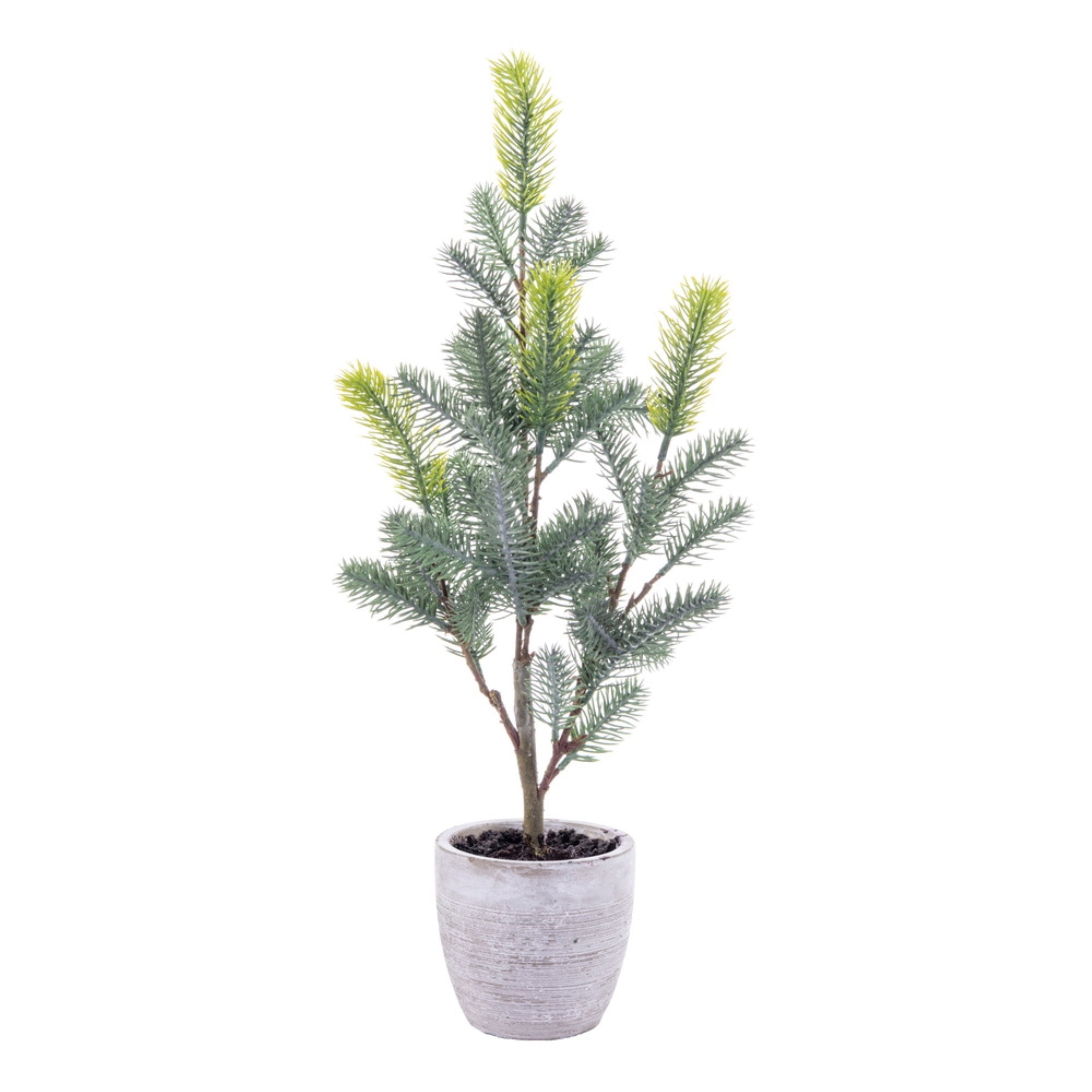 Vickerman 19” Artificial Blue Spruce Sapling Potted.