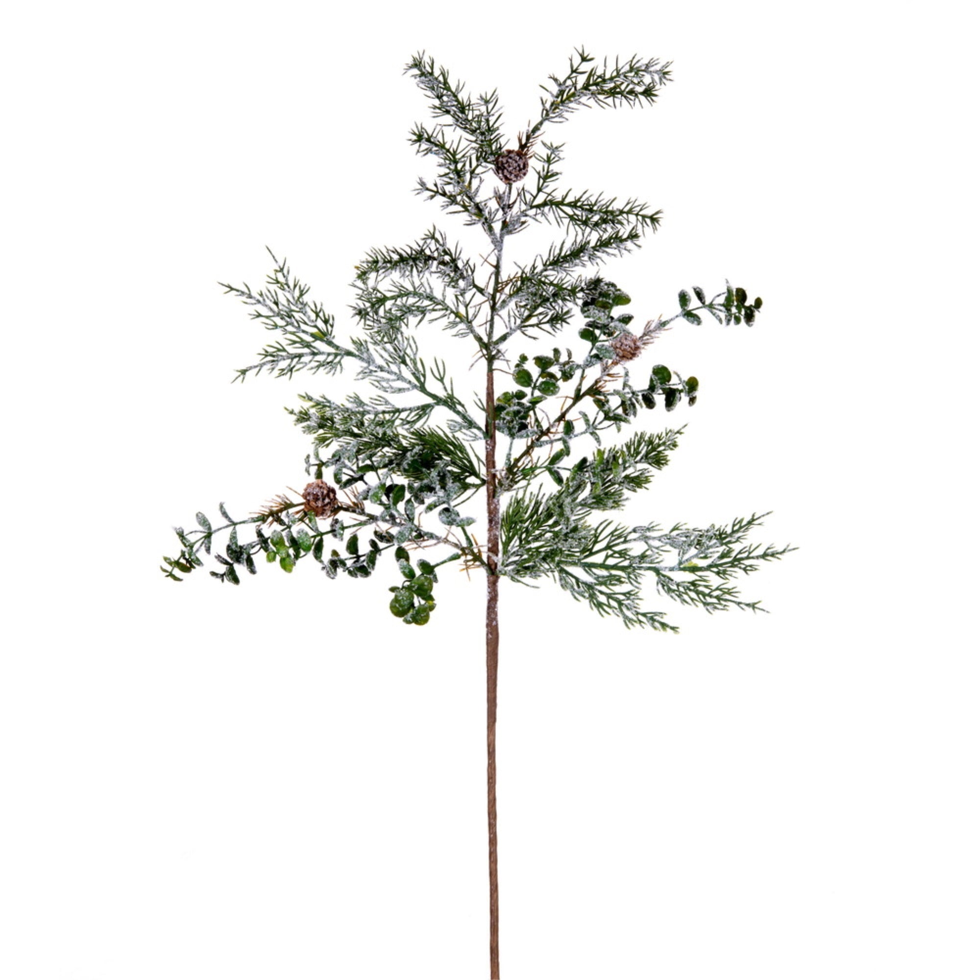 30” Snow Cedar/Eucalyptus Branch 1/Bag