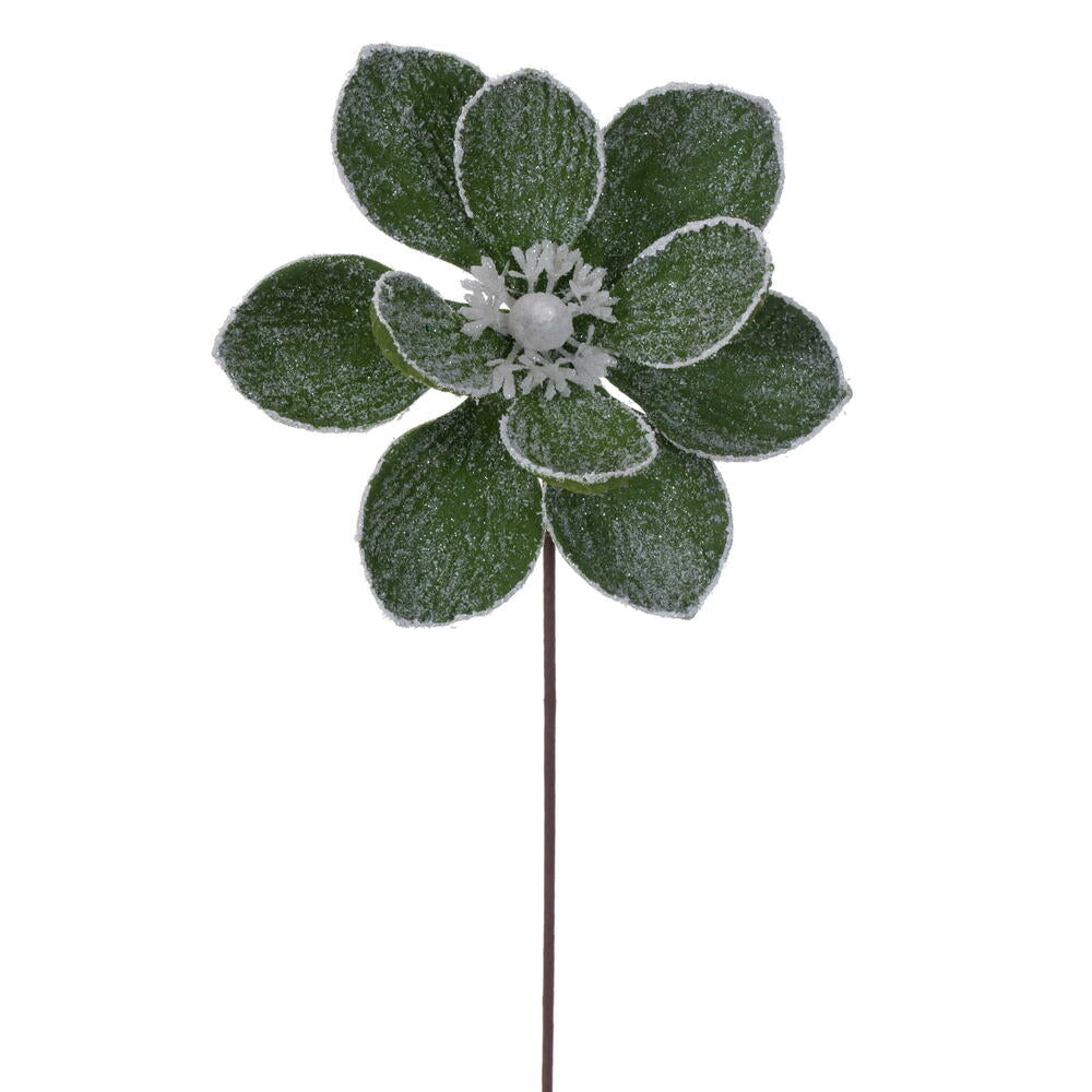 23” Green Magnolia Stem 3/Bag